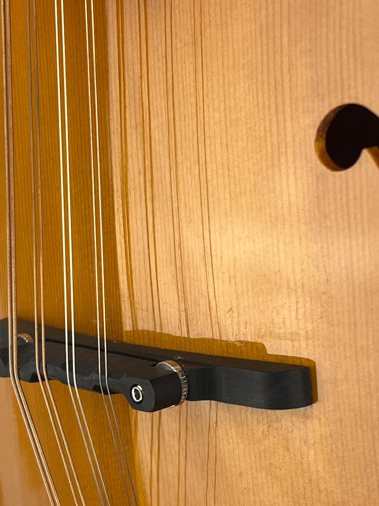 SOLD - Rover RM-75 Mandolin - New