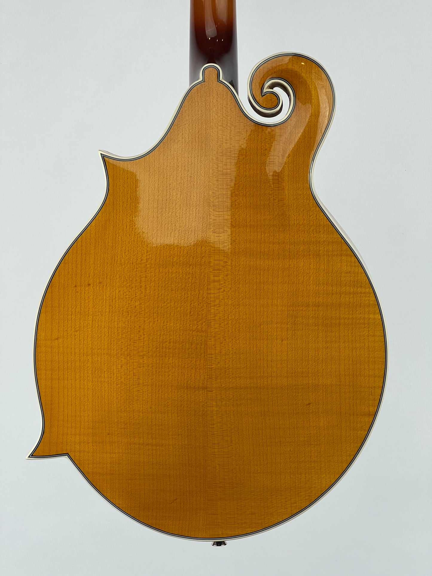 SOLD - Rover RM-75 Mandolin - New