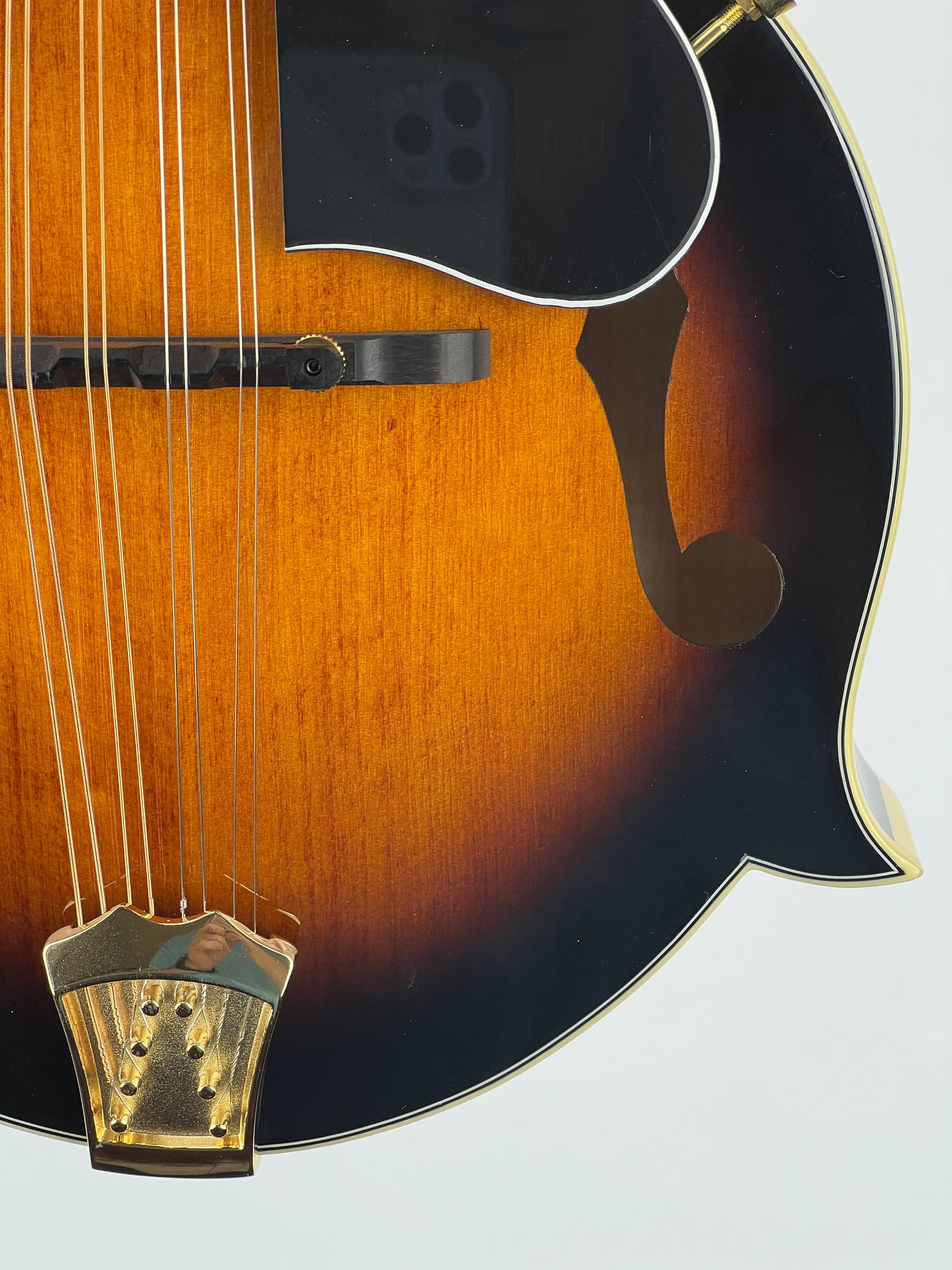 Gold Tone GM-70+ F-Style Mandolin - New
