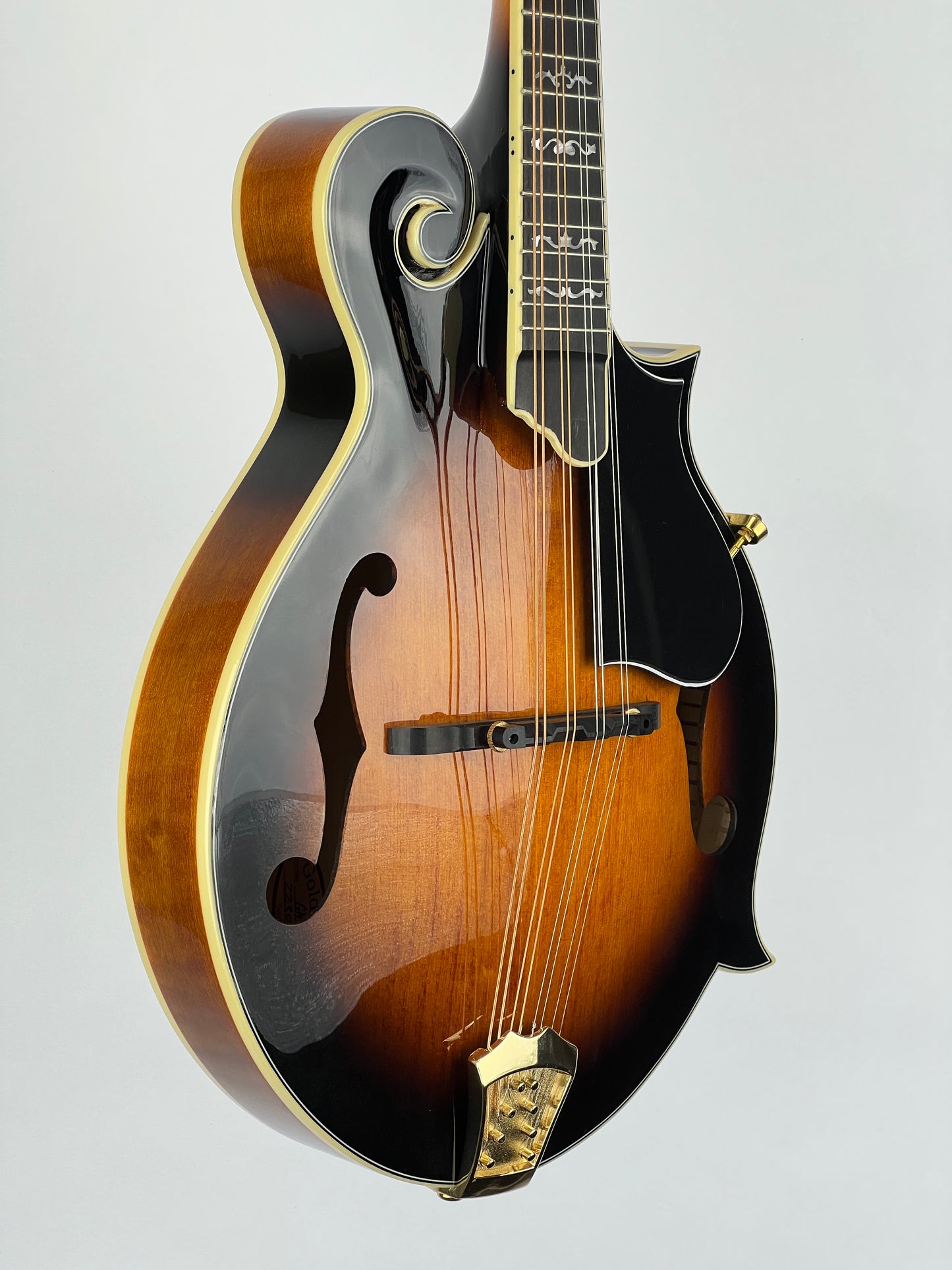 Gold Tone GM-70+ F-Style Mandolin - New