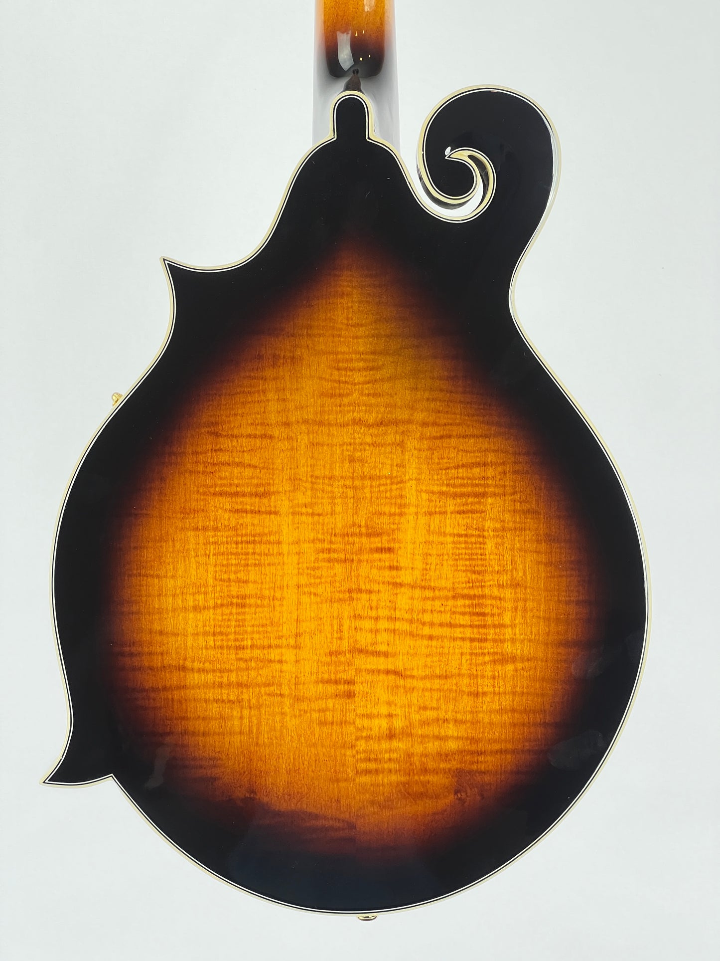 Gold Tone GM-70+ F-Style Mandolin - New