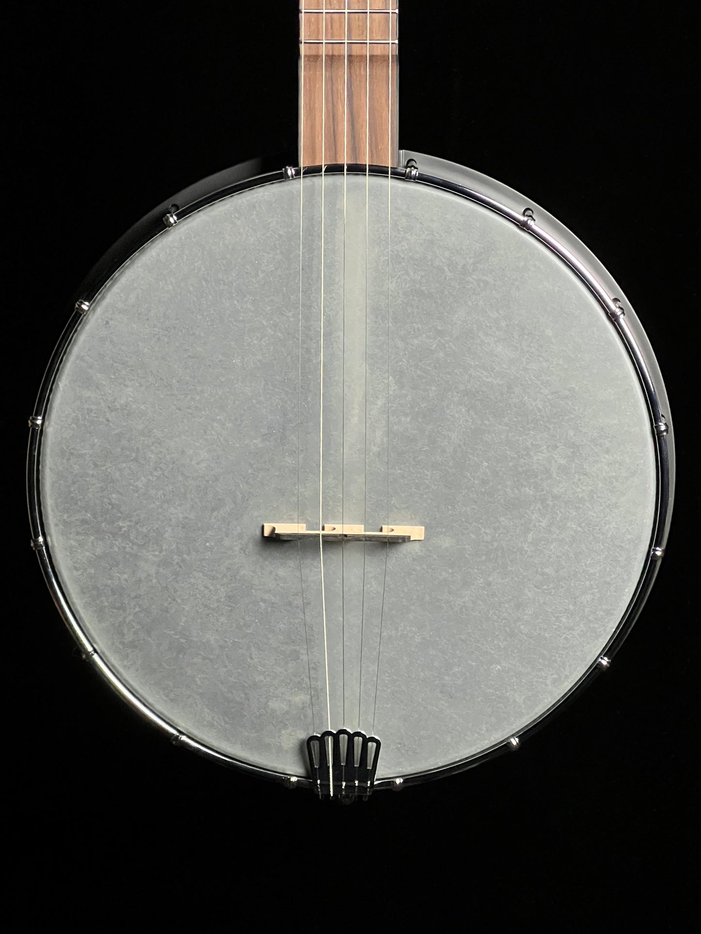 Gold Tone AC-12 Acoustic Composite 12" 5-string Openback Banjo - New