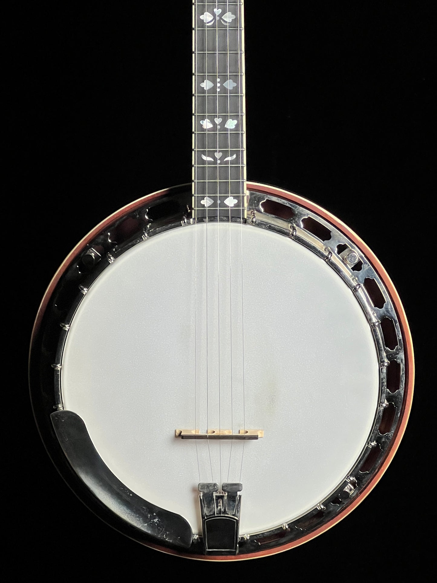 Recording King RK-Elite-85 Resonator 5-String Banjo - Used