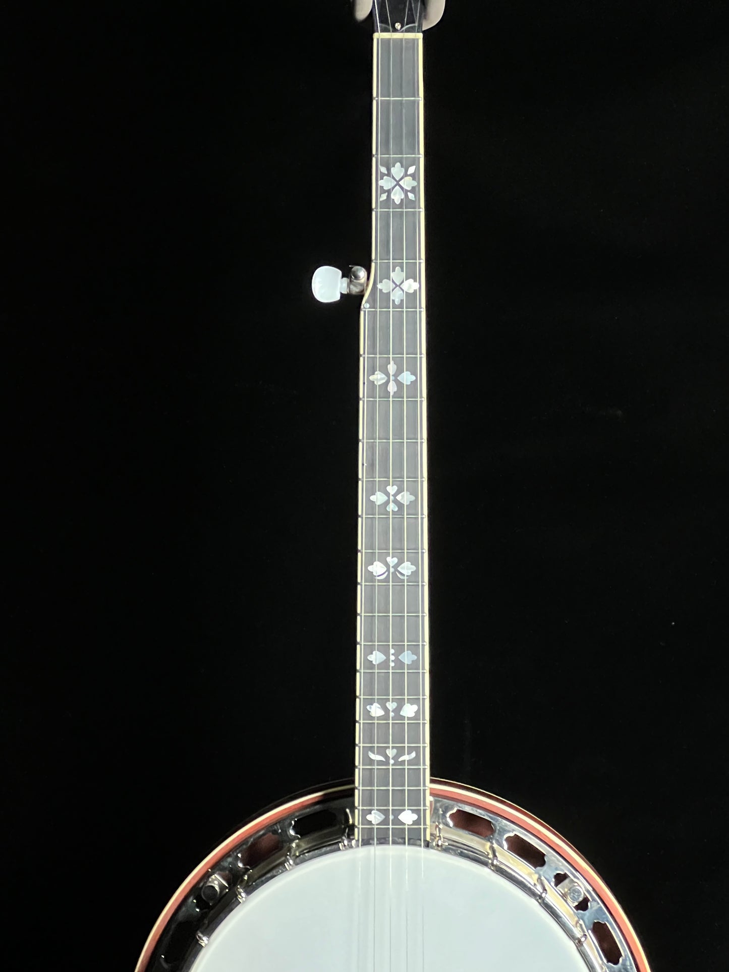 Recording King RK-Elite-85 Resonator 5-String Banjo - Used