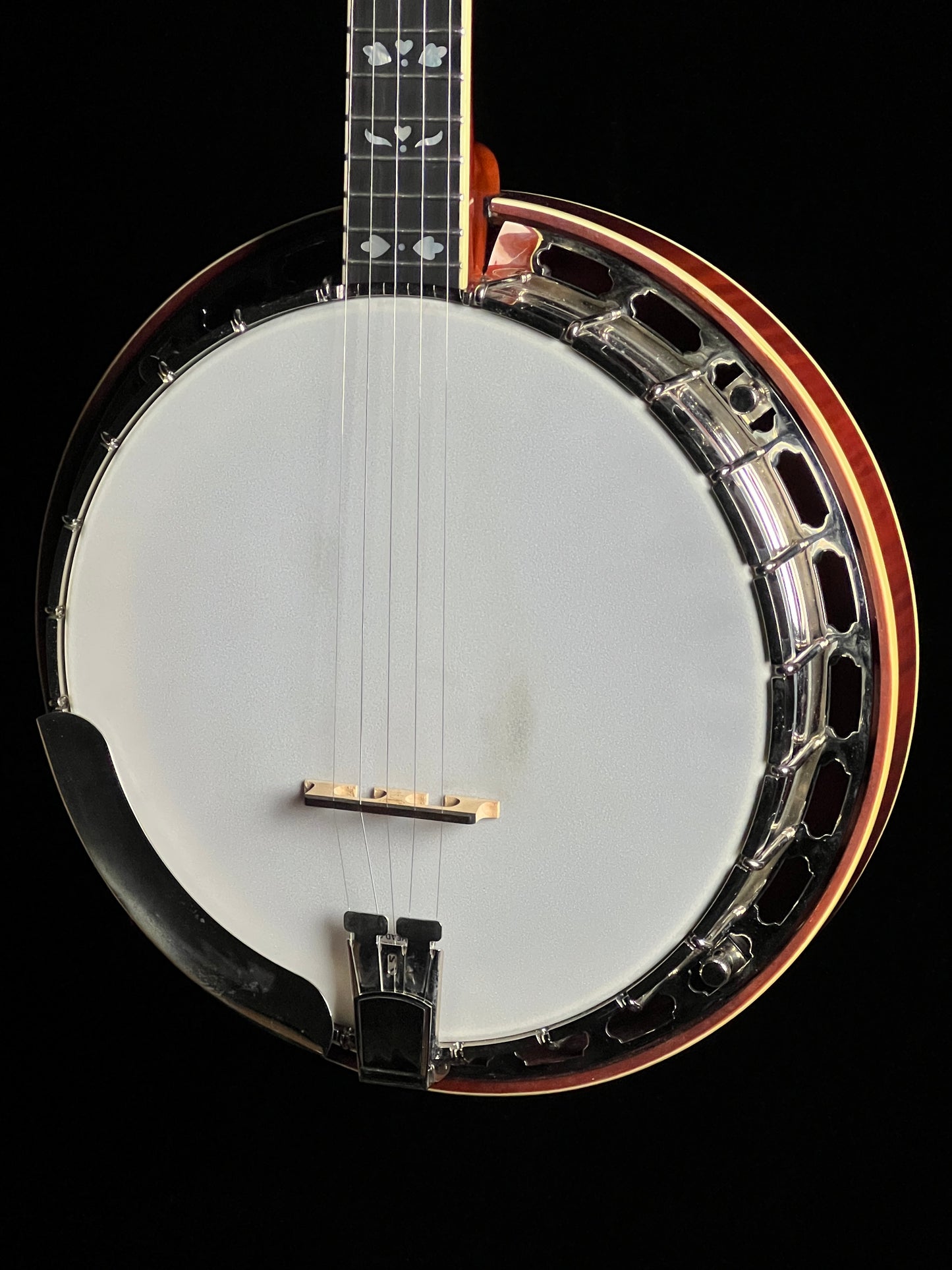 Recording King RK-Elite-85 Resonator 5-String Banjo - Used