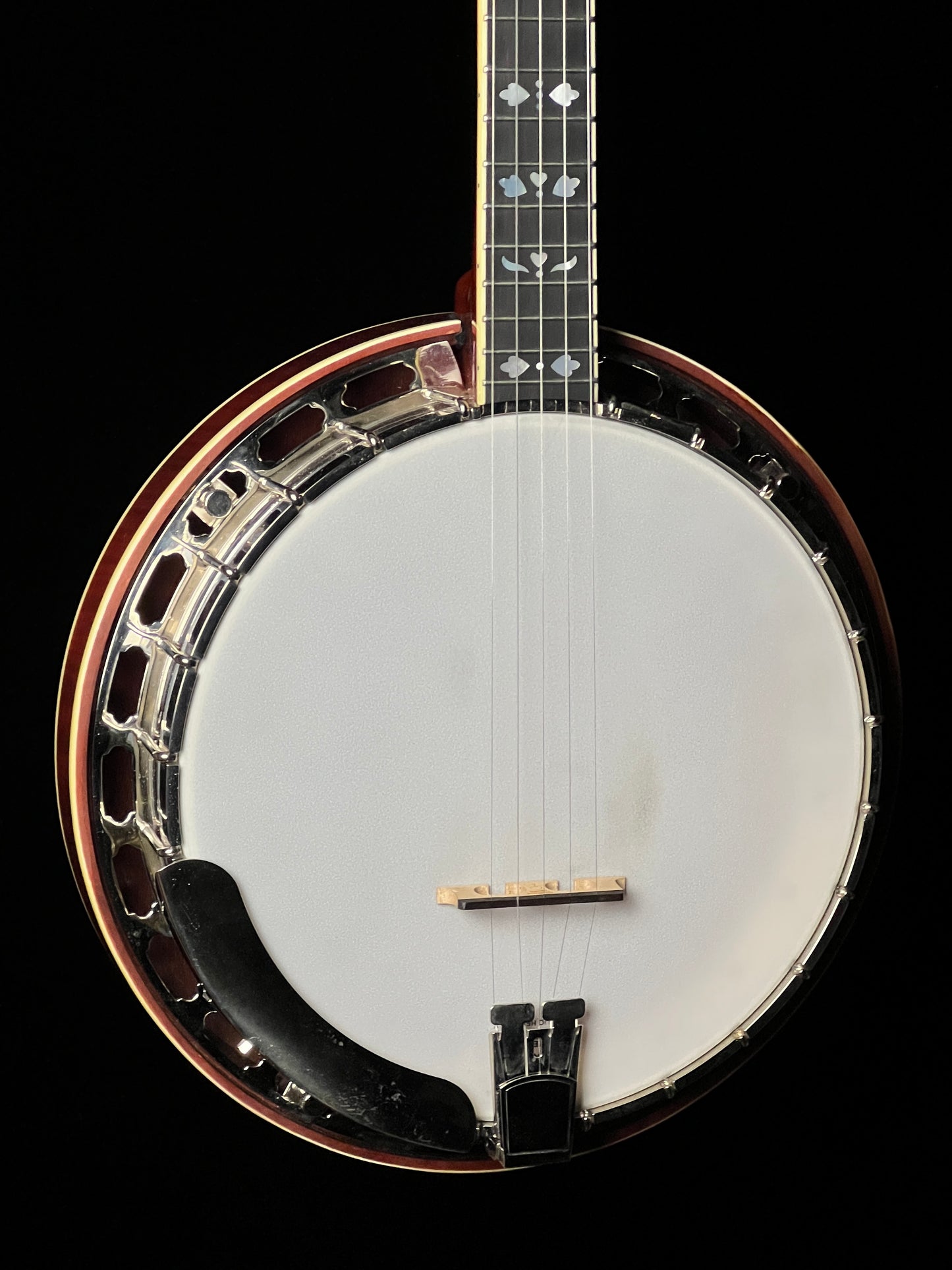 Recording King RK-Elite-85 Resonator 5-String Banjo - Used