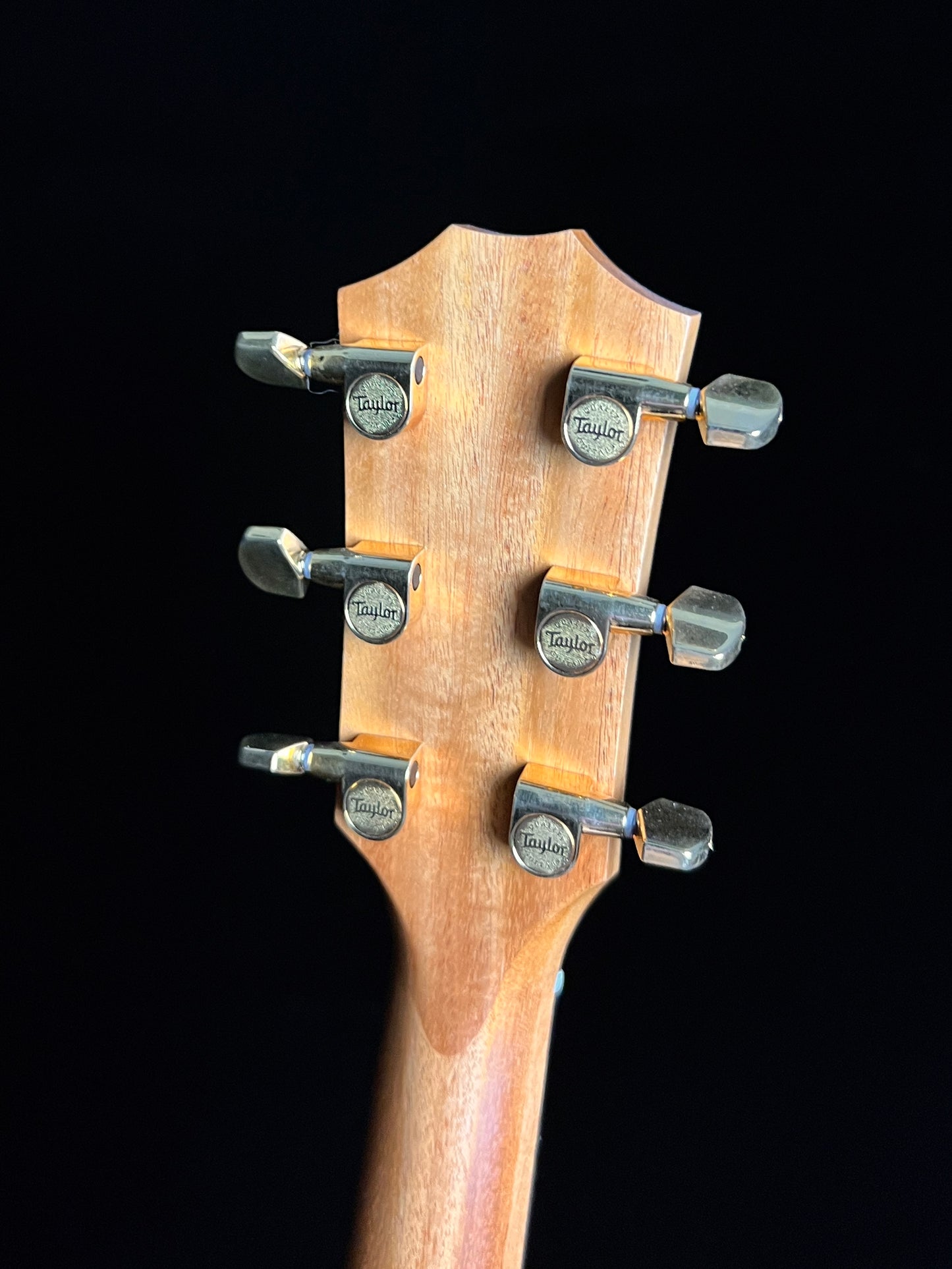 SOLD - Taylor 224ce-K DLX Koa Grand Auditorium Cutaway Acoustic Guitar with Electronics - Used