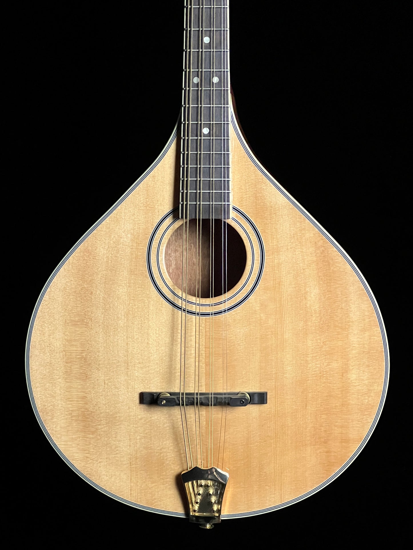 SOLD - Gold Tone OM-800+ Octave Mandolin - New