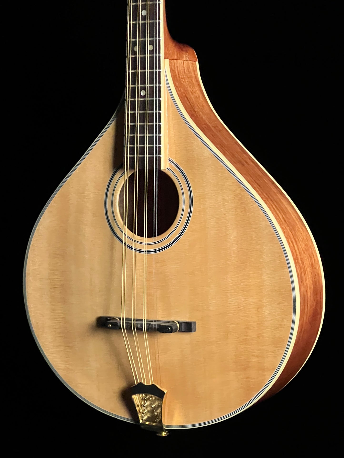 SOLD - Gold Tone OM-800+ Octave Mandolin - New