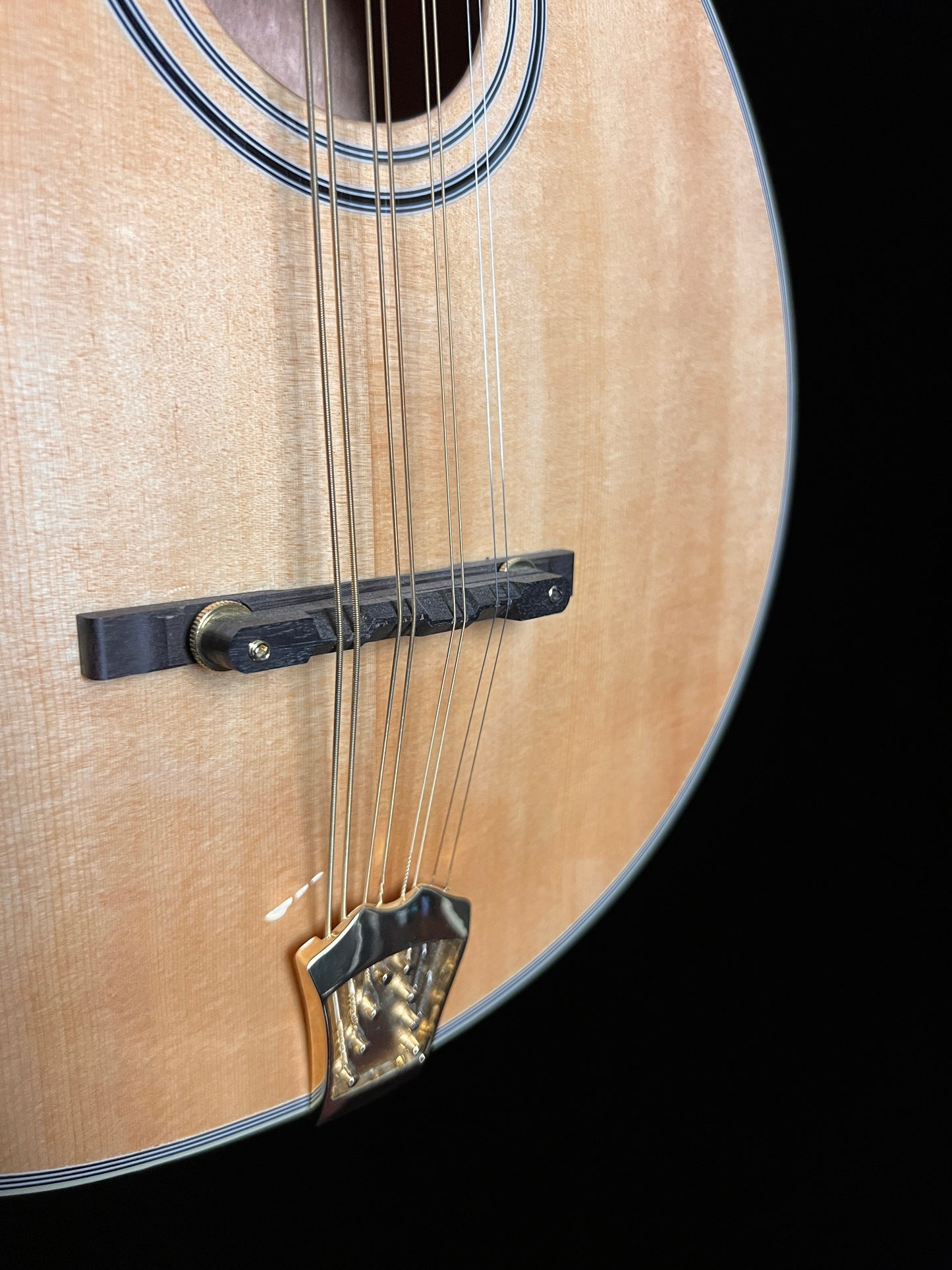 SOLD - Gold Tone OM-800+ Octave Mandolin - New