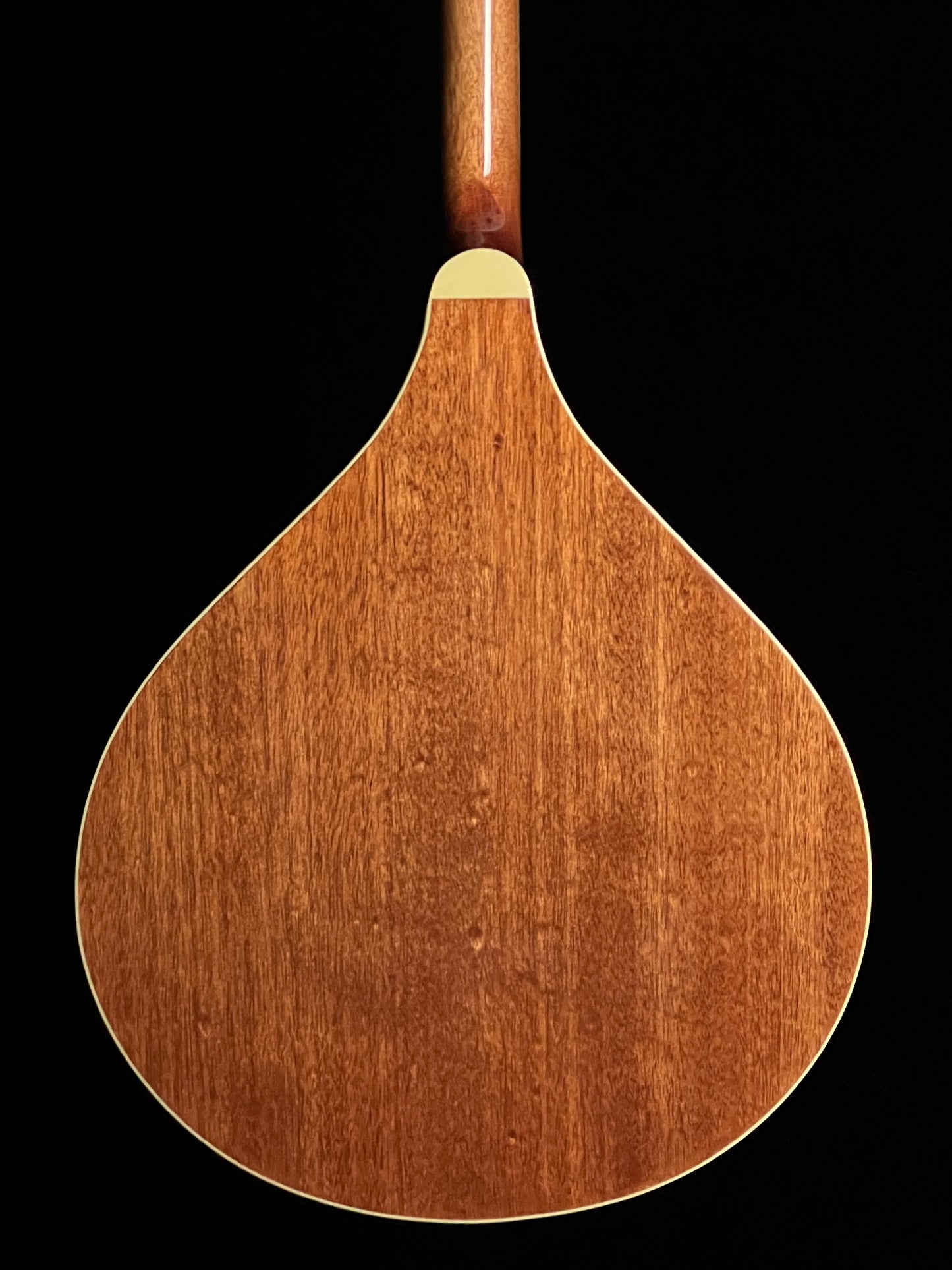 SOLD - Gold Tone OM-800+ Octave Mandolin - New