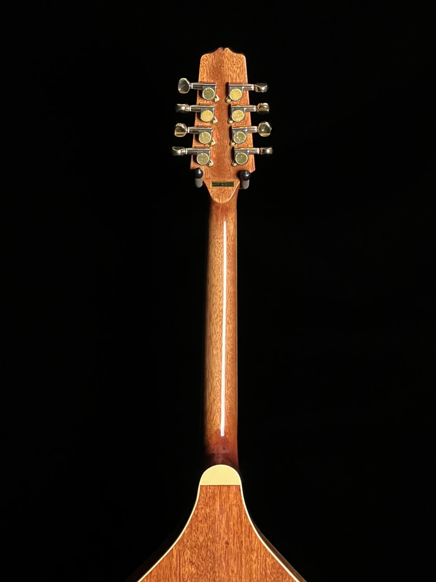 SOLD - Gold Tone OM-800+ Octave Mandolin - New