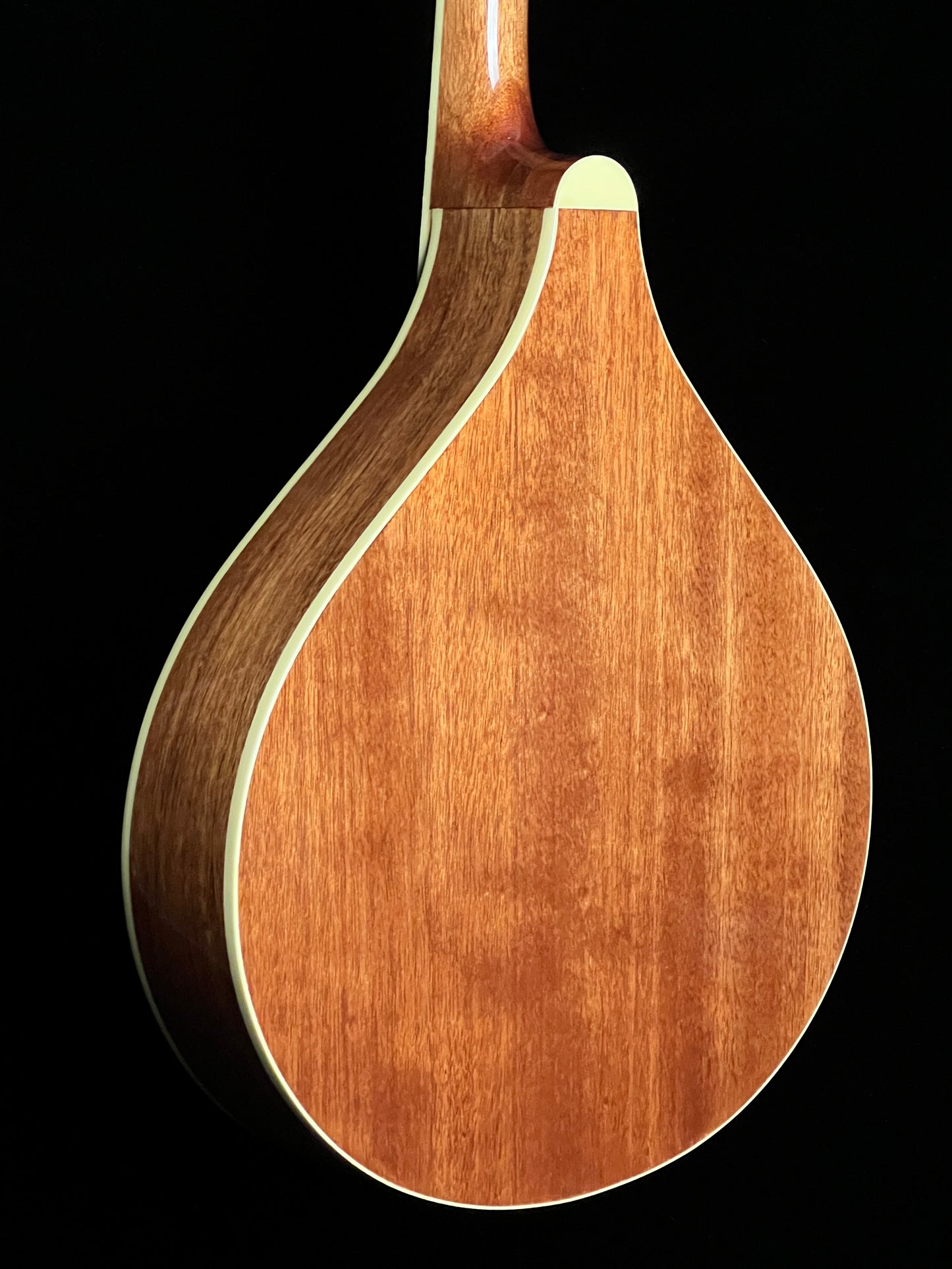 SOLD - Gold Tone OM-800+ Octave Mandolin - New