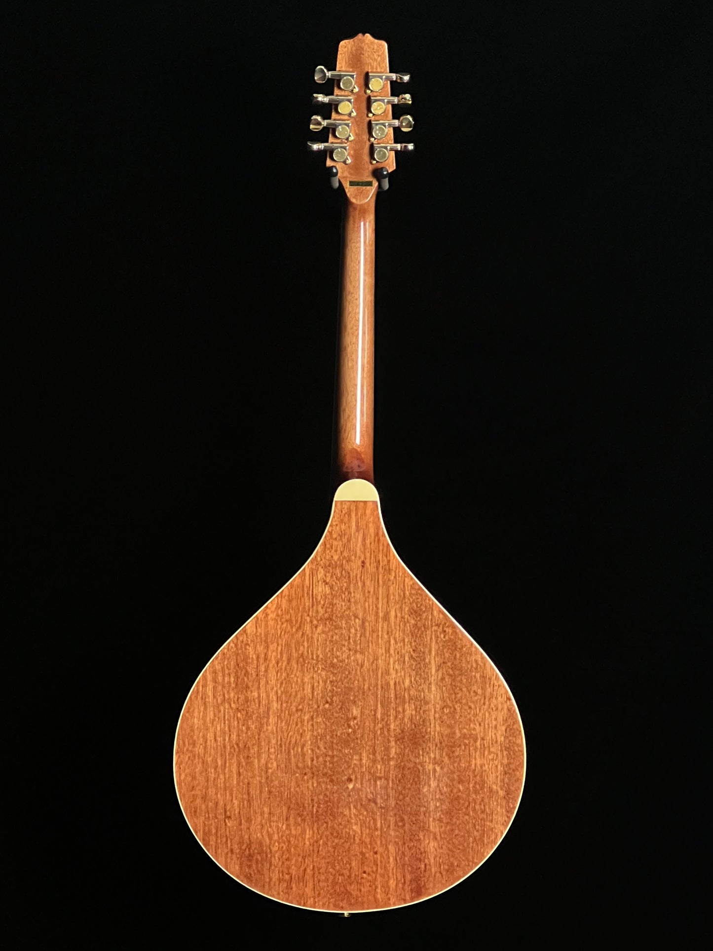 SOLD - Gold Tone OM-800+ Octave Mandolin - New