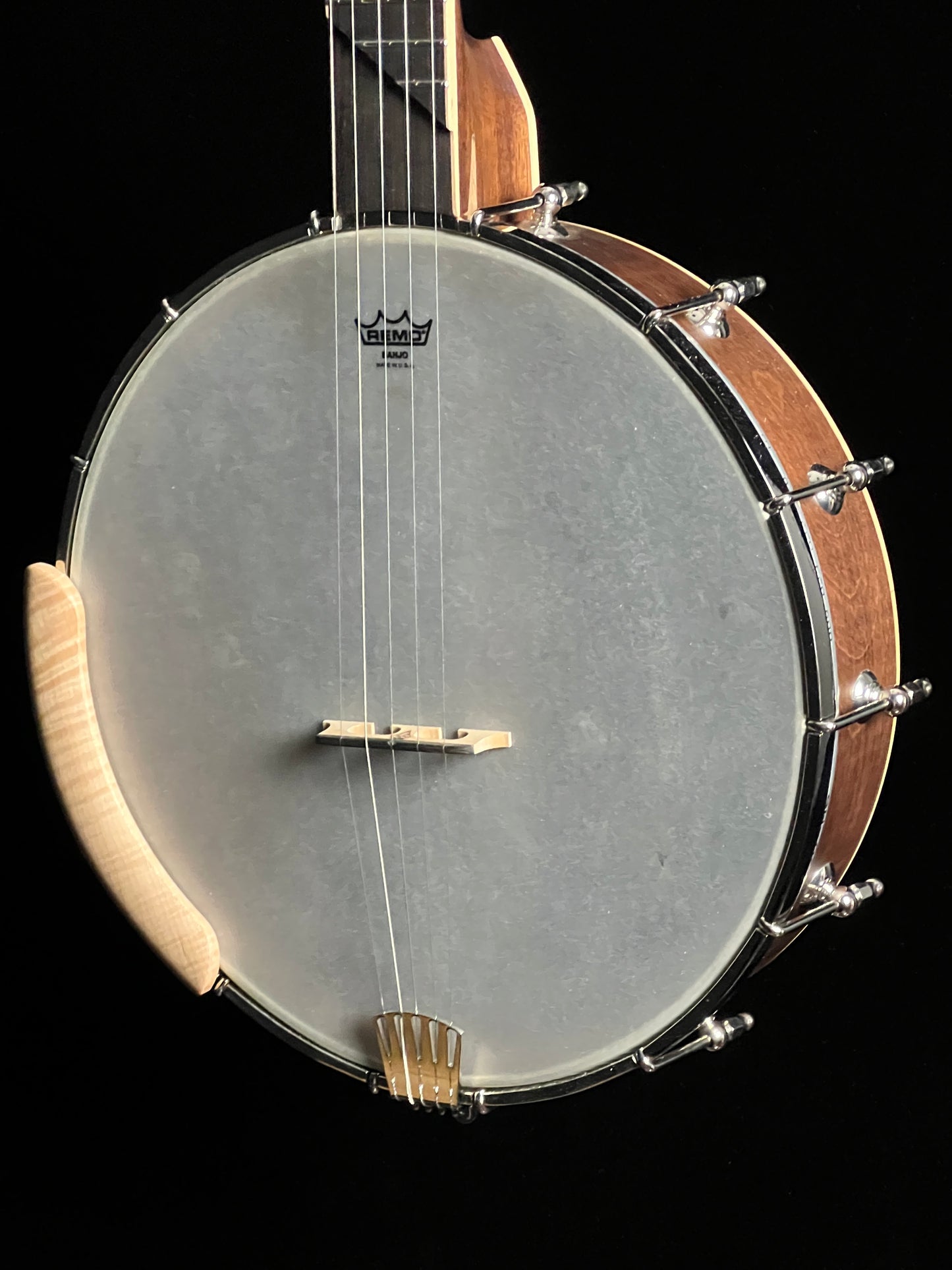 SOLD - Gold Tone HM-100 High Moon Handcrafted Openback Banjo - New