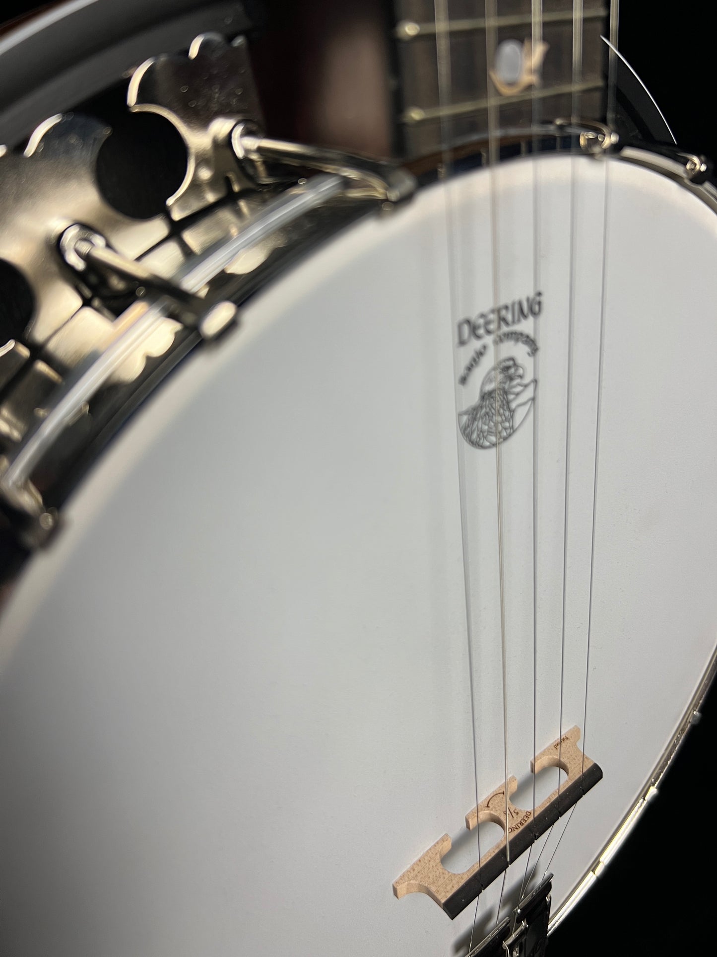 Deering Boston 5-String Banjo with Resonator - New