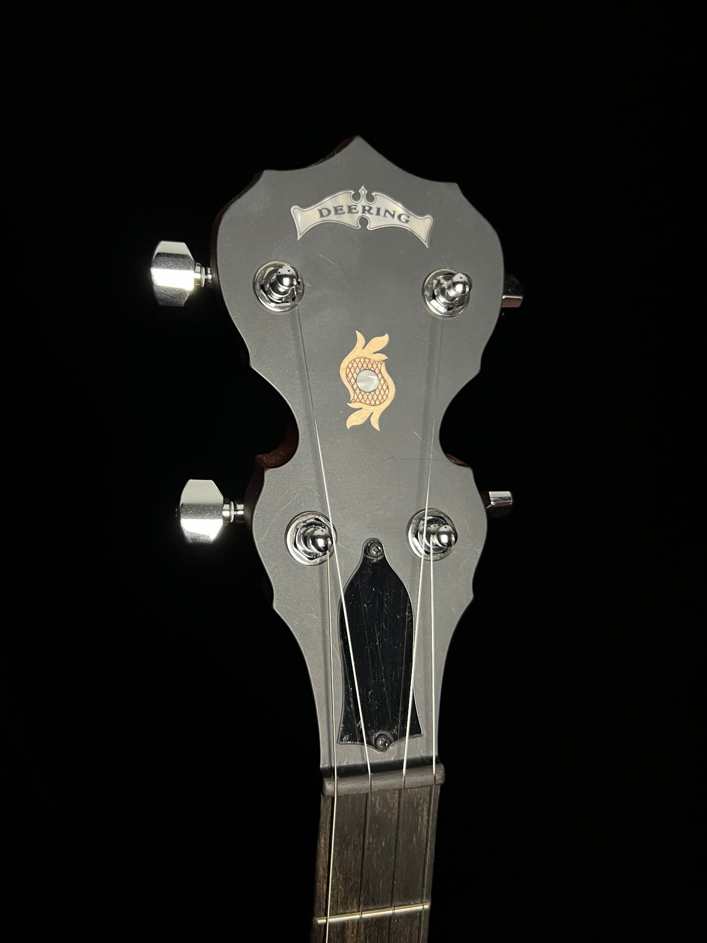 Deering Boston 5-String Banjo with Resonator - New