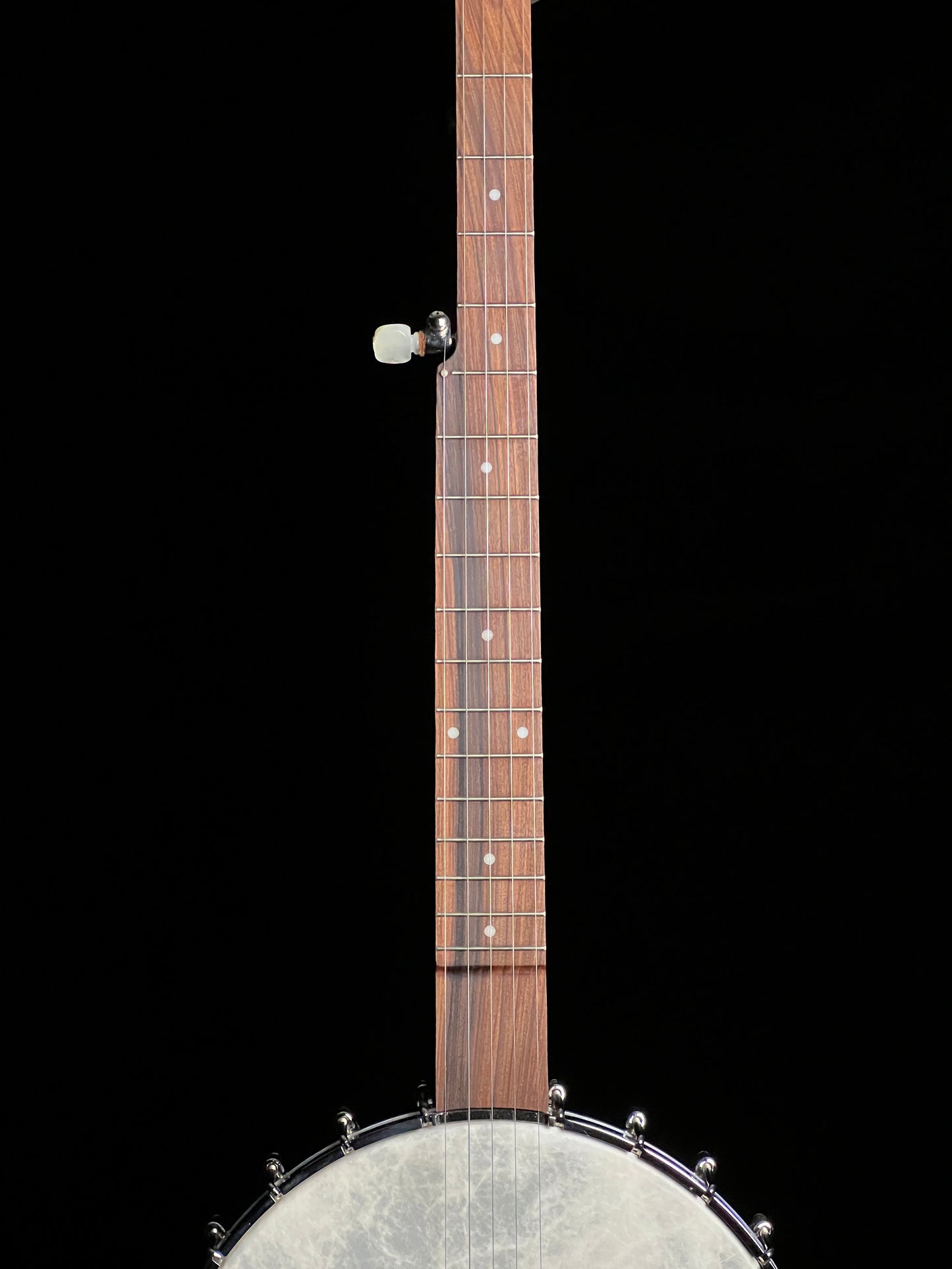 Gold Star GE-1 Prospector Old-Time Openback Banjo - New