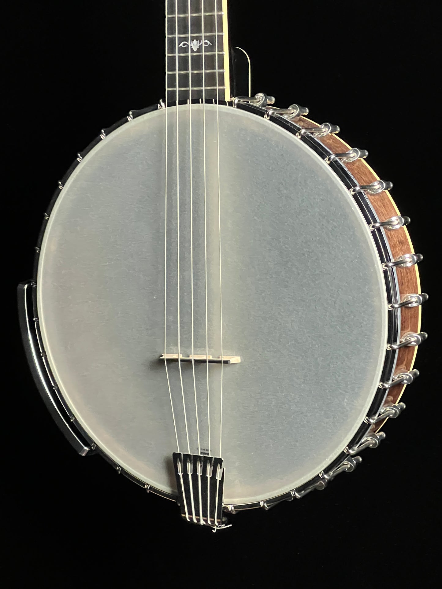 Gold Tone Cello 5-String Banjo CEB-5 - New
