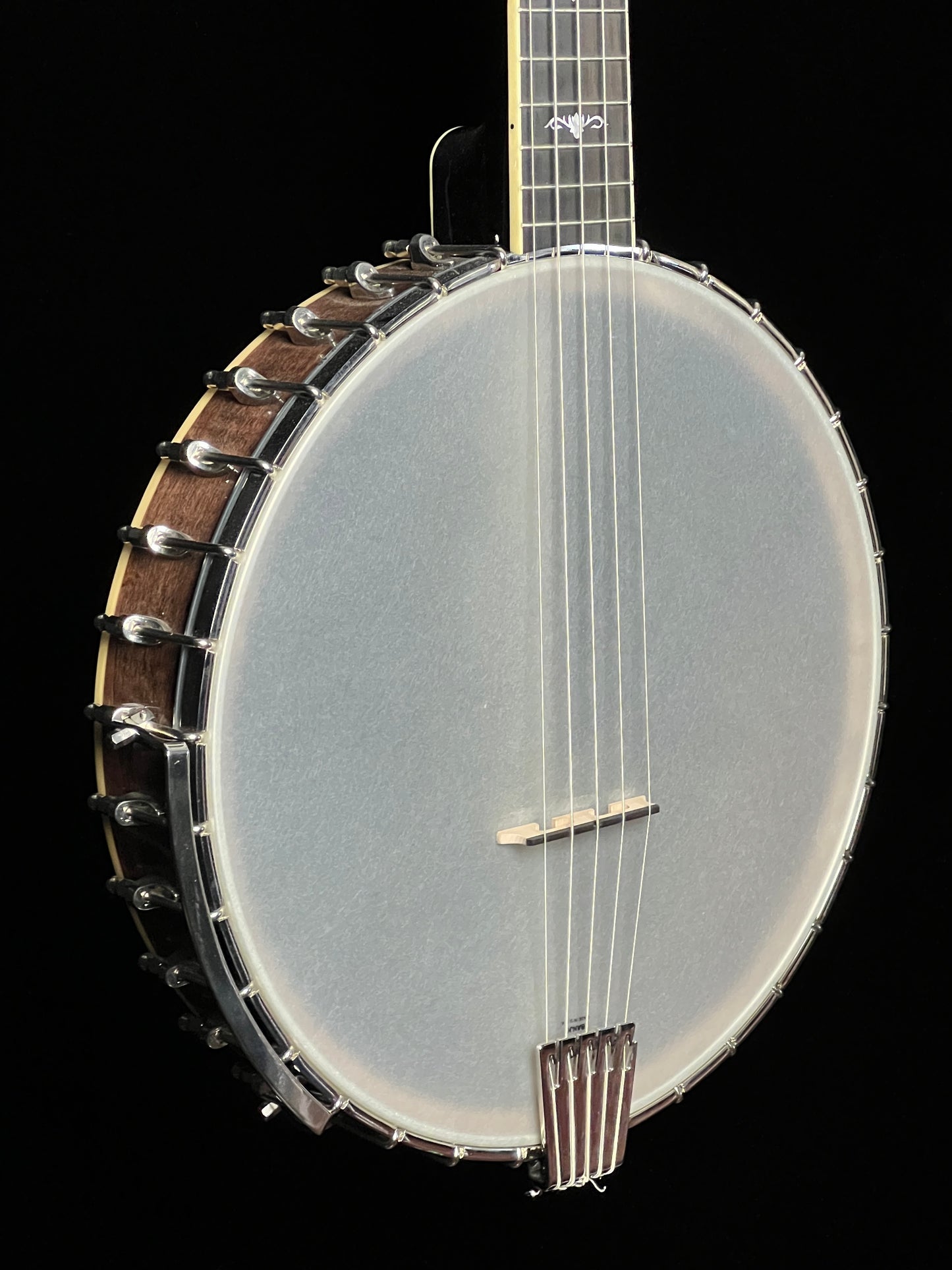 Gold Tone Cello 5-String Banjo CEB-5 - New