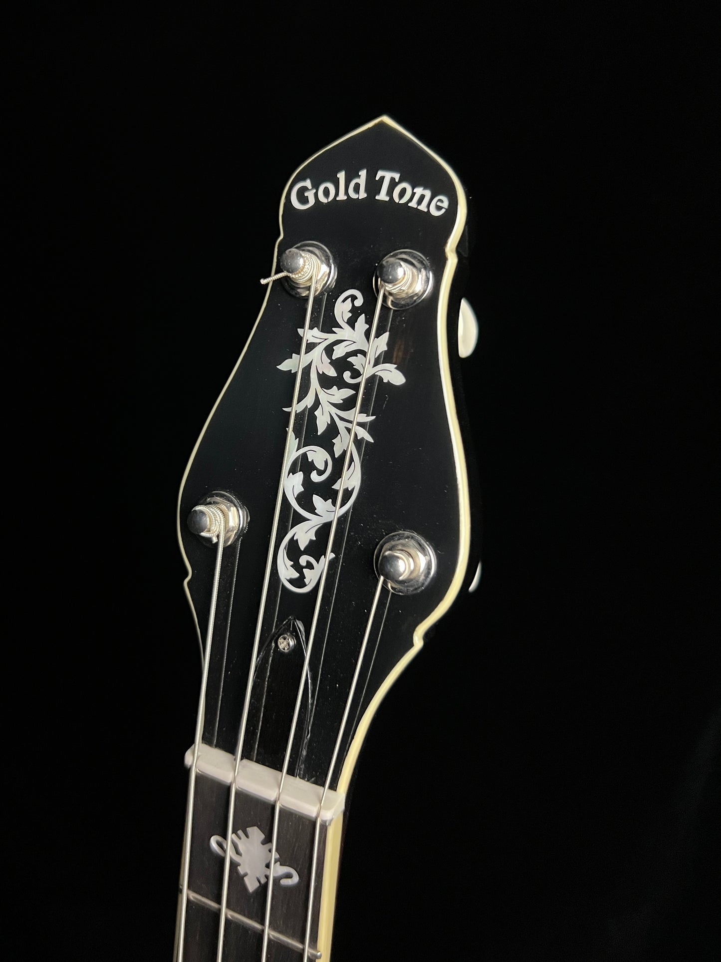 Gold Tone Cello 5-String Banjo CEB-5 - New