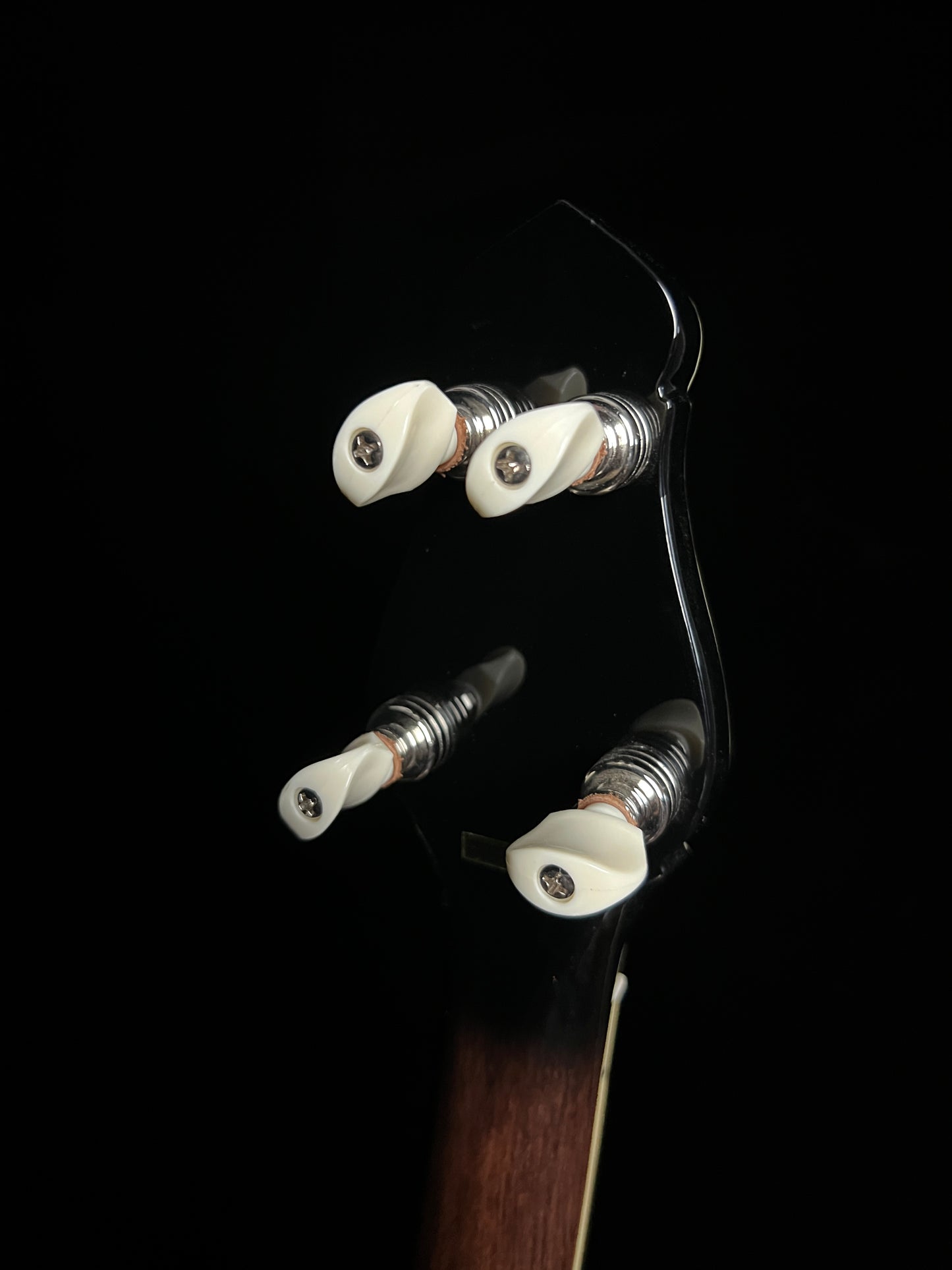 Gold Tone Cello 5-String Banjo CEB-5 - New