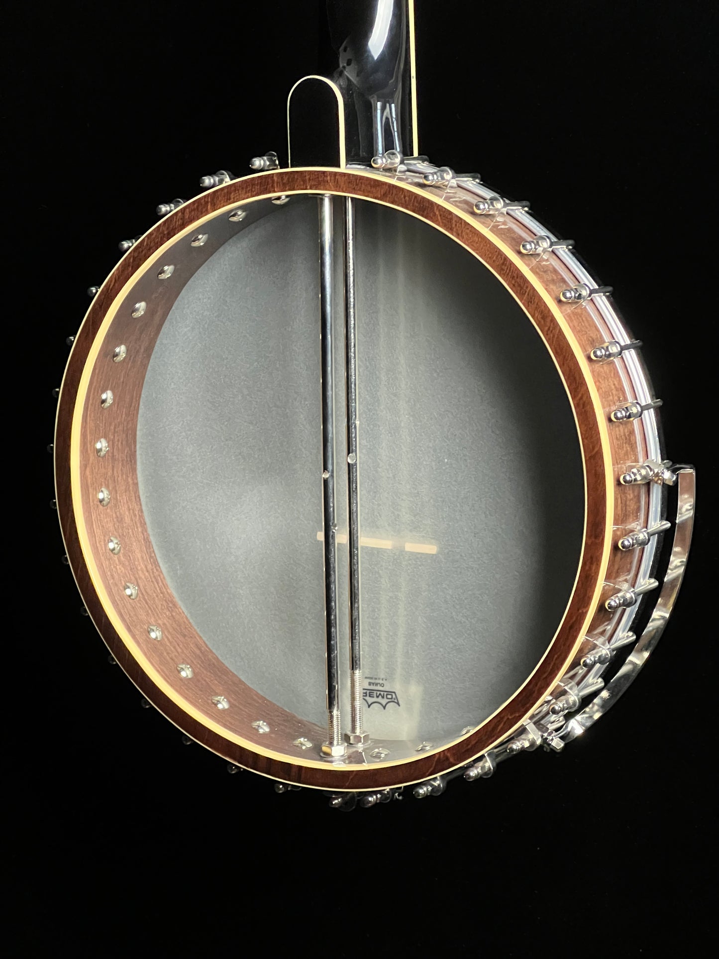Gold Tone Cello 5-String Banjo CEB-5 - New