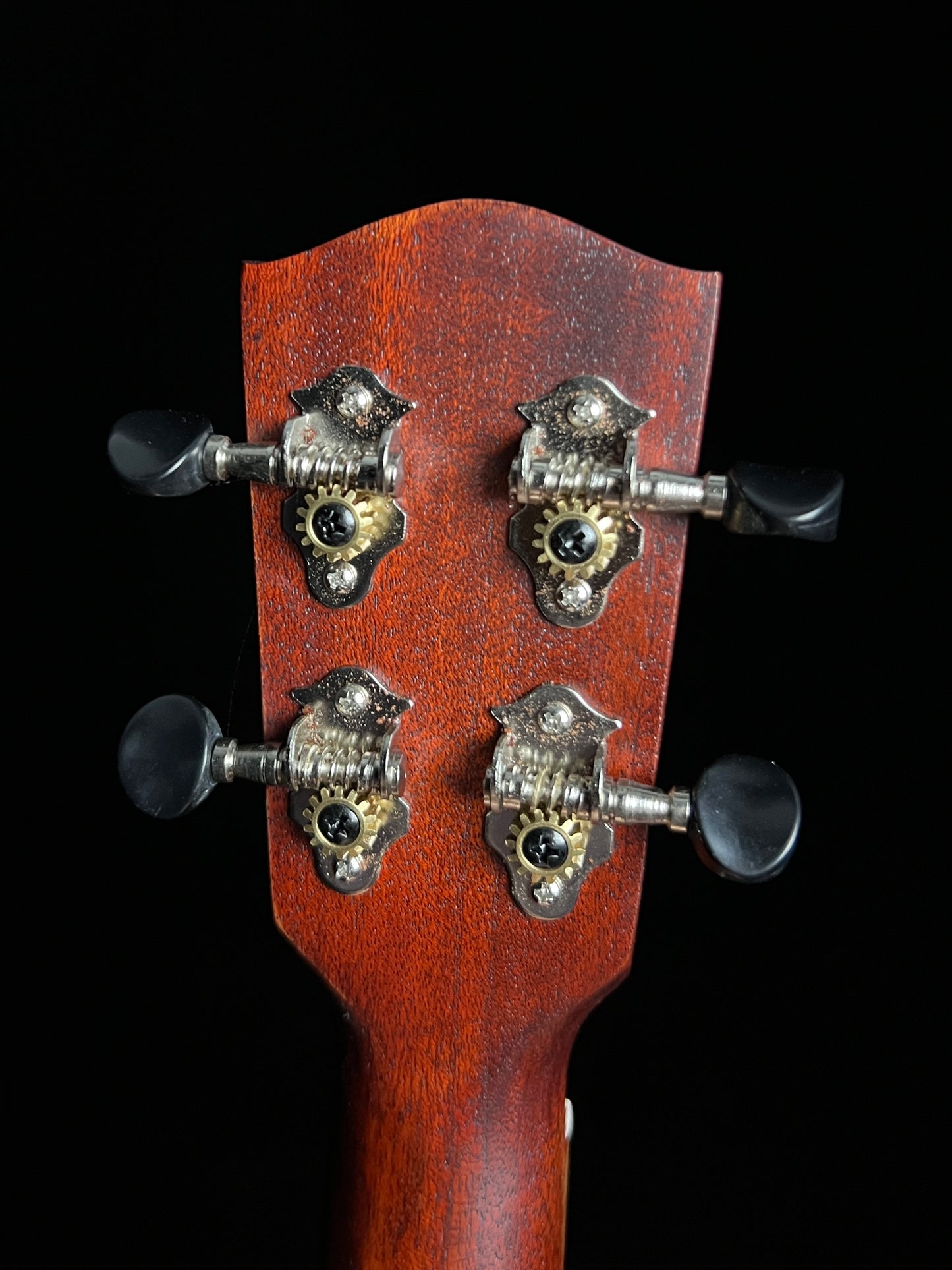 SOLD - Eastman EU1-C Concert Mahogany Ukulele - New