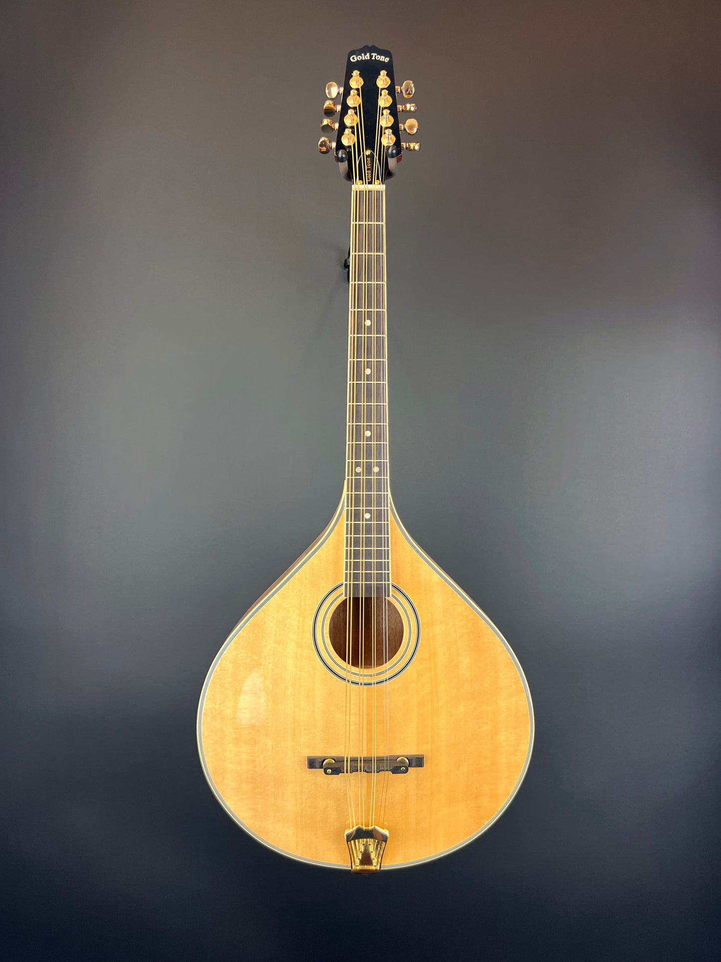 Gold Tone - Octave Mandolin - OM-800+ New