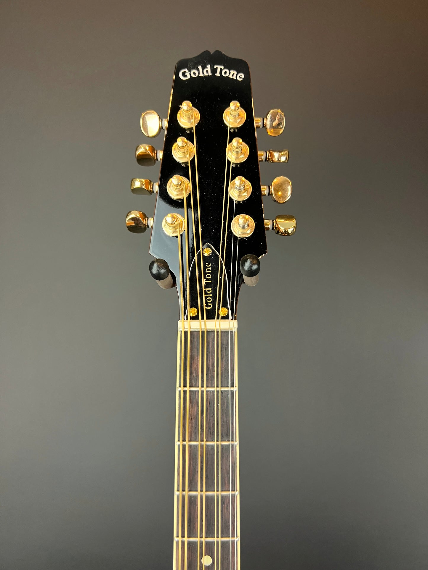 Gold Tone - Octave Mandolin - OM-800+ New