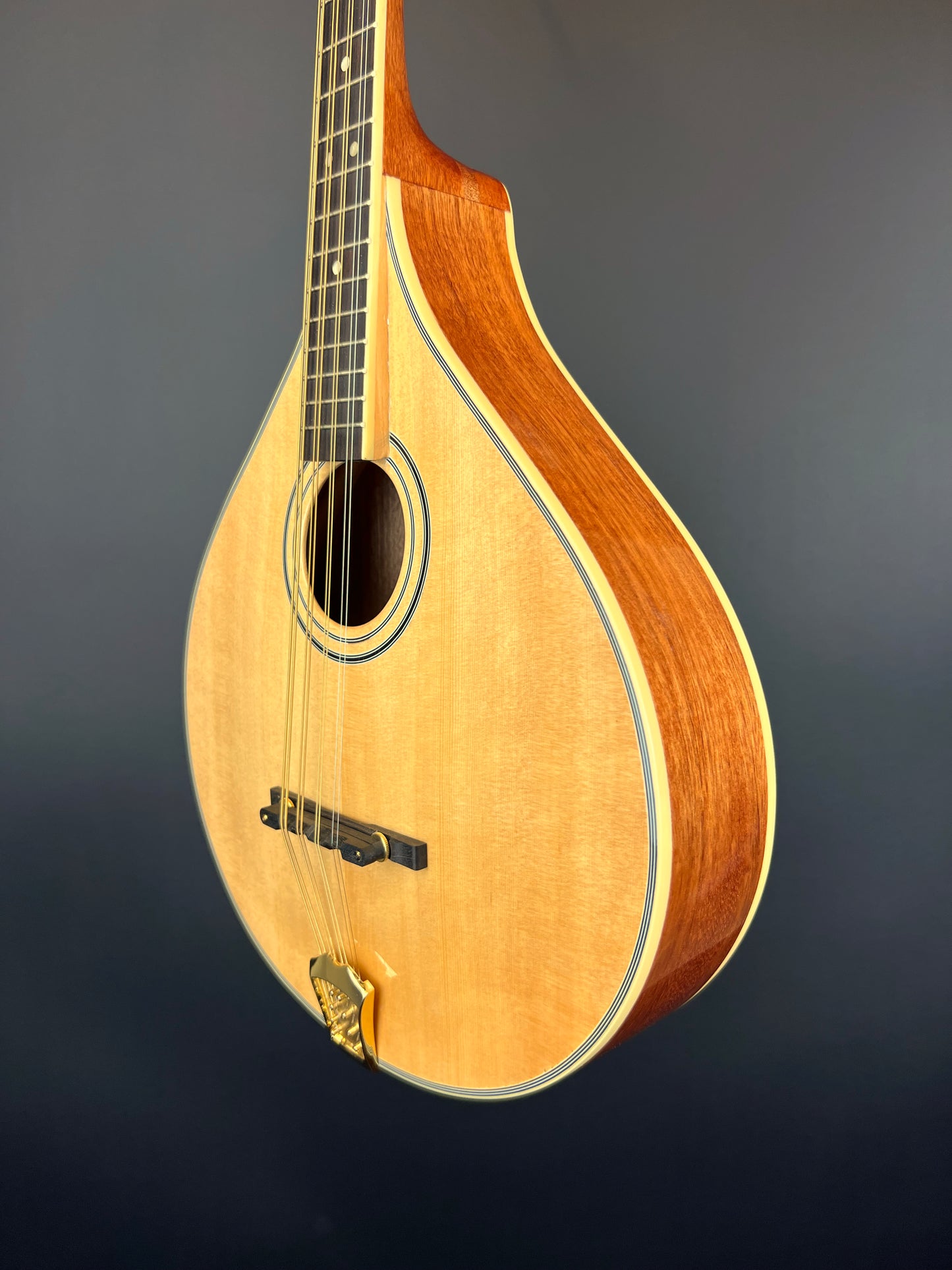 Gold Tone - Octave Mandolin - OM-800+ New