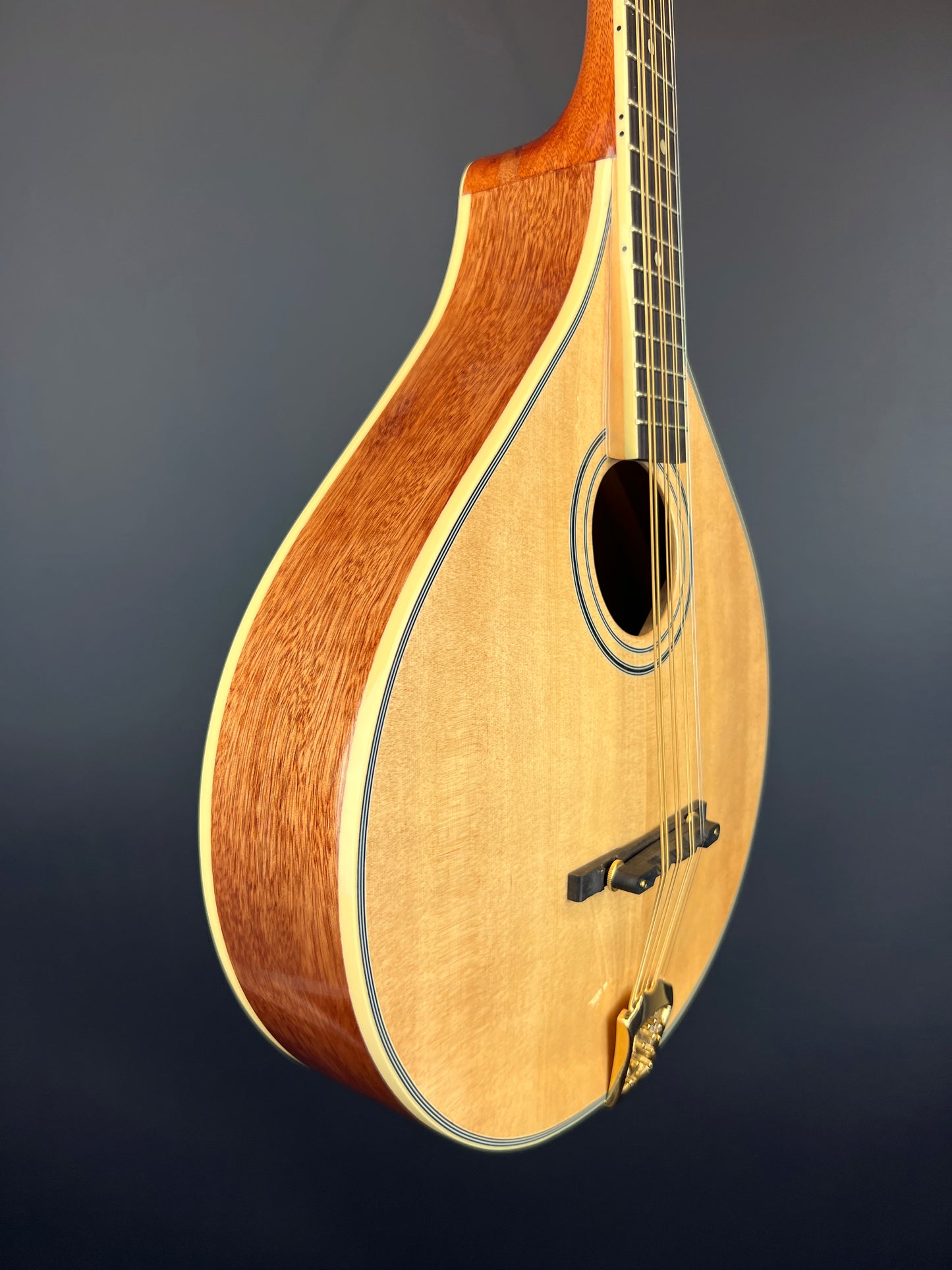 Gold Tone - Octave Mandolin - OM-800+ New