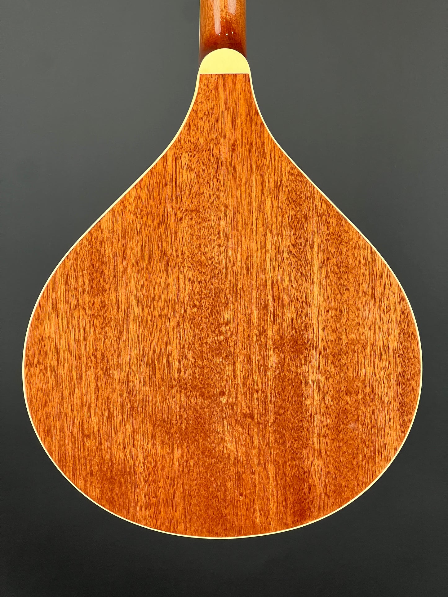 Gold Tone - Octave Mandolin - OM-800+ New