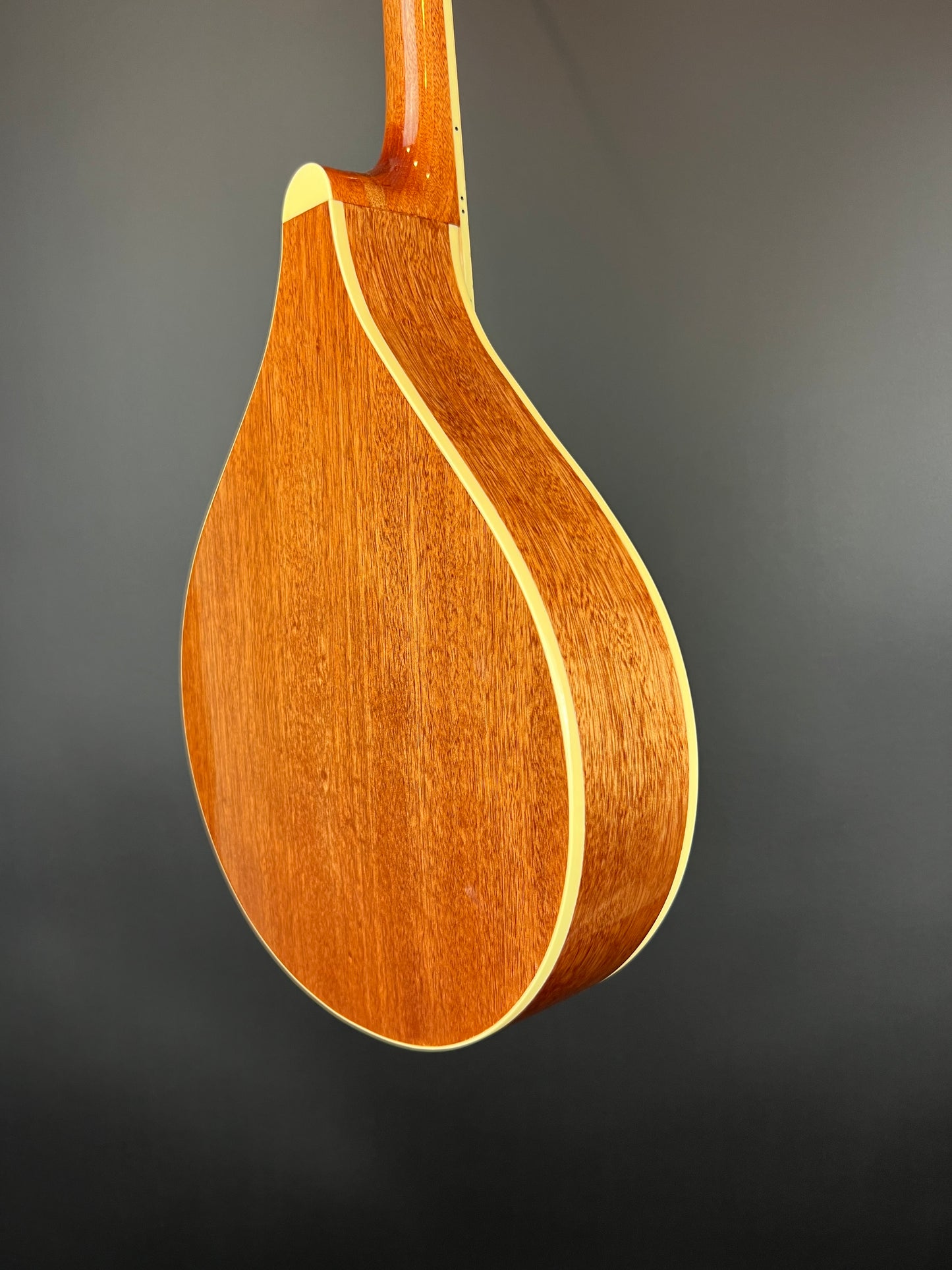Gold Tone - Octave Mandolin - OM-800+ New
