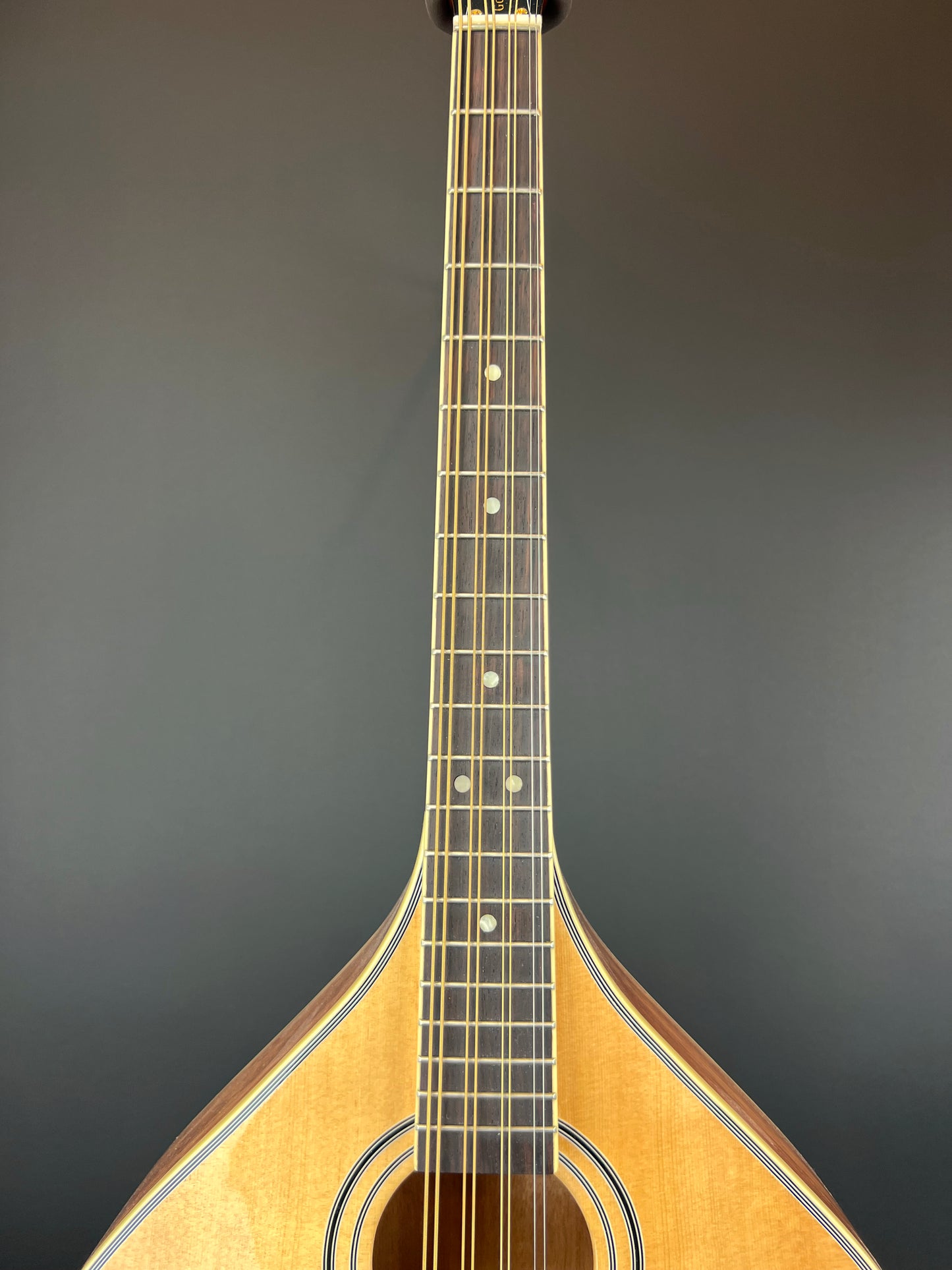 Gold Tone - Octave Mandolin - OM-800+ New