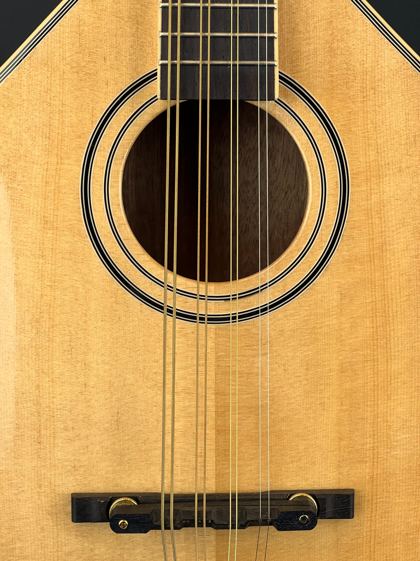 SOLD - Gold Tone OM-800+ Octave Mandolin - New