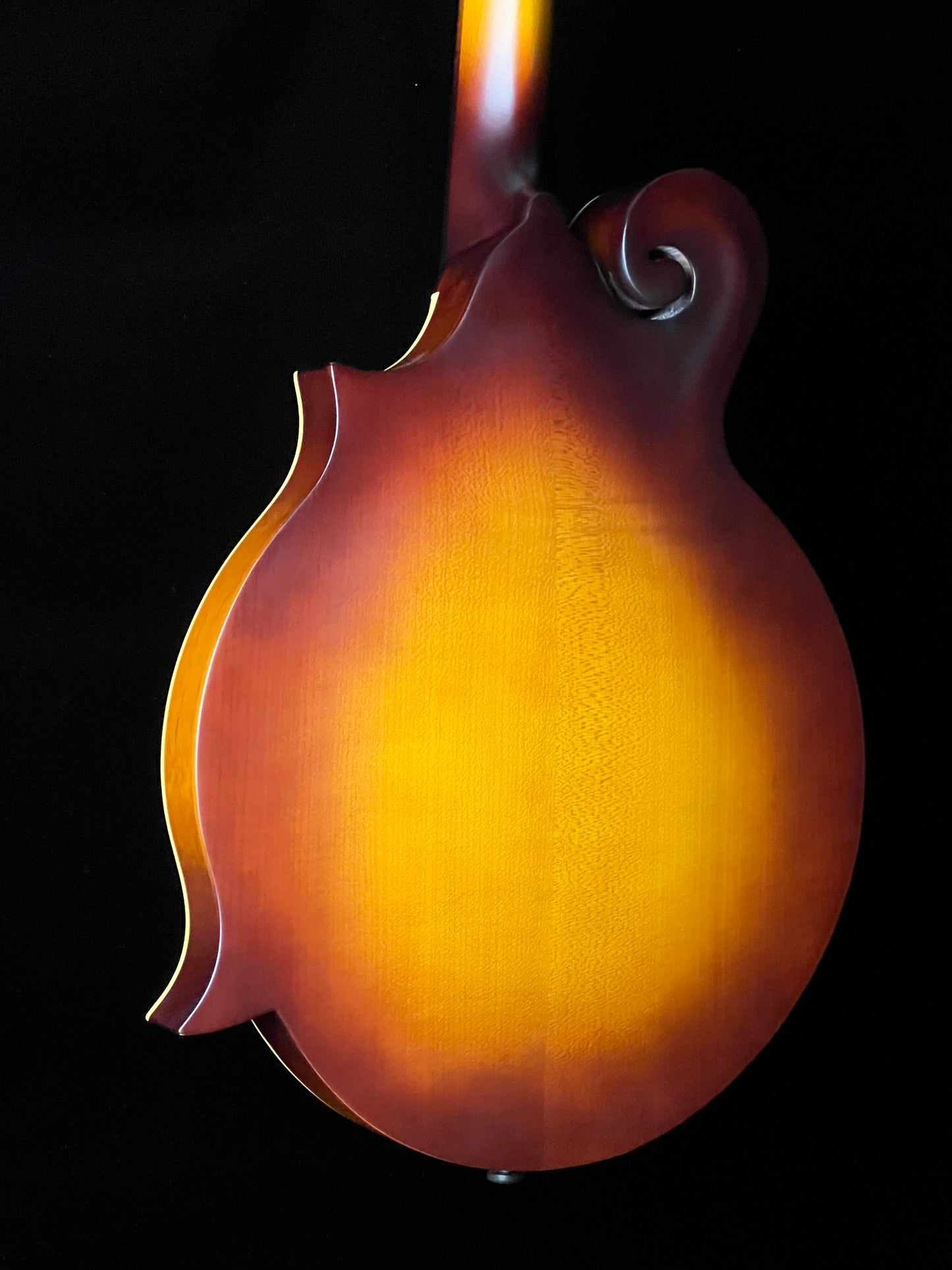 SOLD - Loar LM-590 F-Style Mandolin Sunburst Spruce/Maple - New