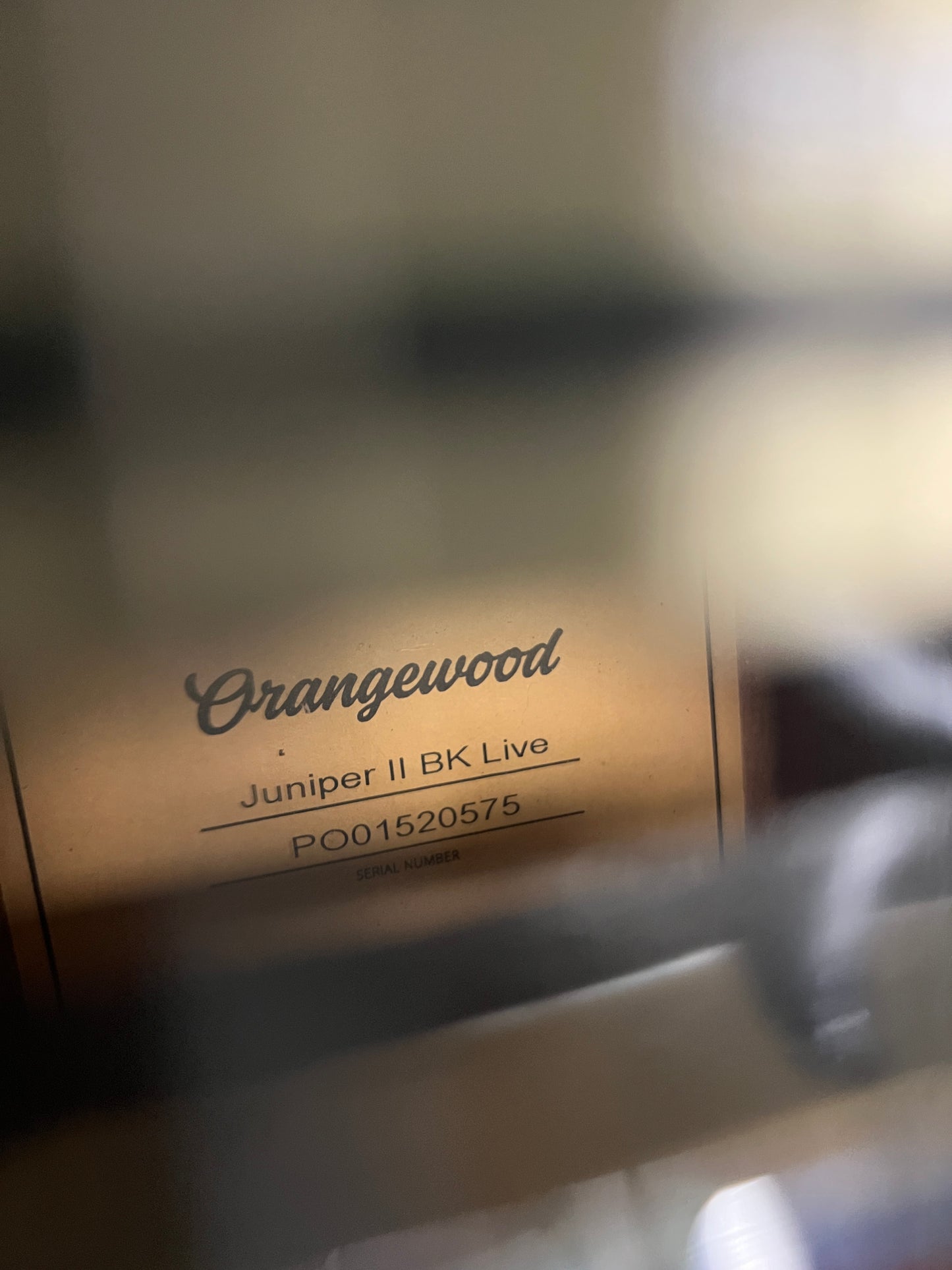 Orangewood Juniper II Black Live Rubber Bridge Parlor Guitar - Used