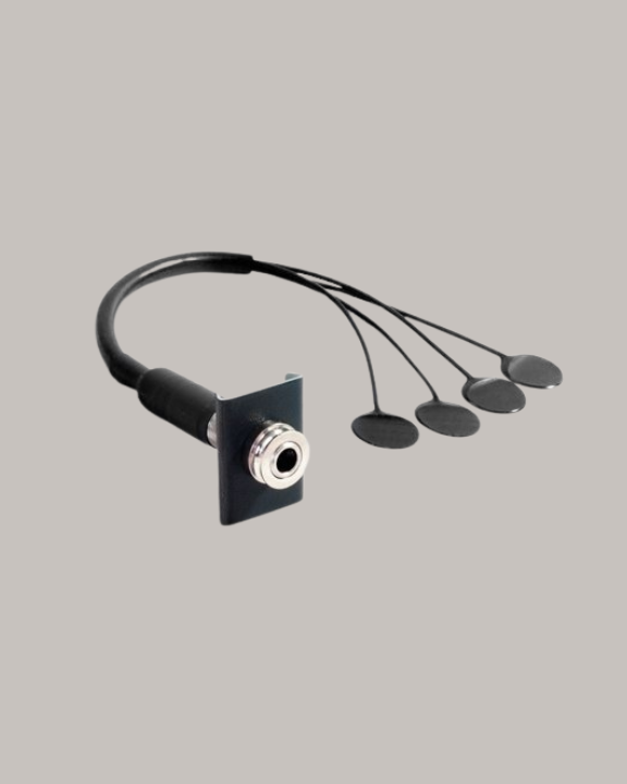K&K Sound Double Big Twin Quad-Sensor Pickup for Upright Bass