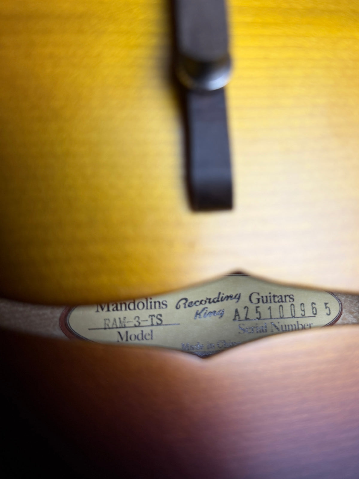 Recording King Dirty 30s RAM-3-TS A-Style Mandolin - New