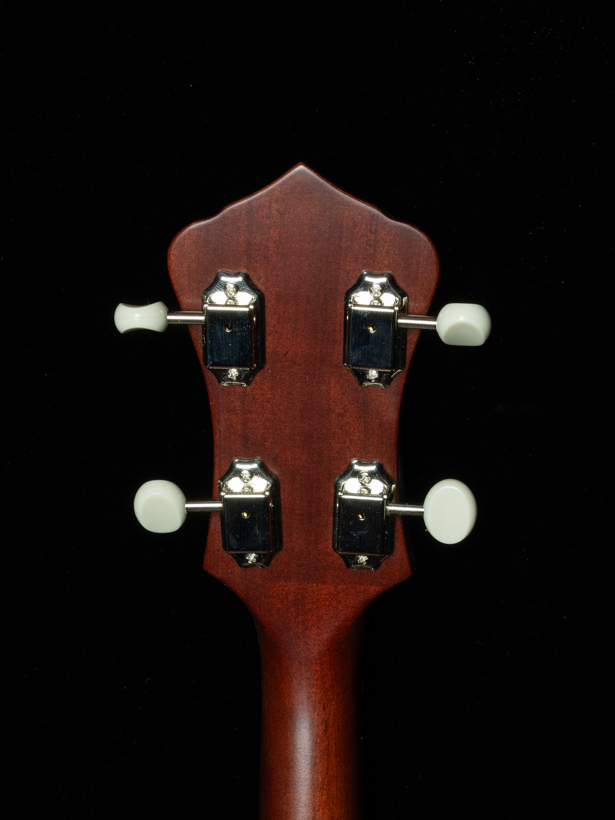 Recording King Dirty 30s RKO-3S Openback Banjo - New