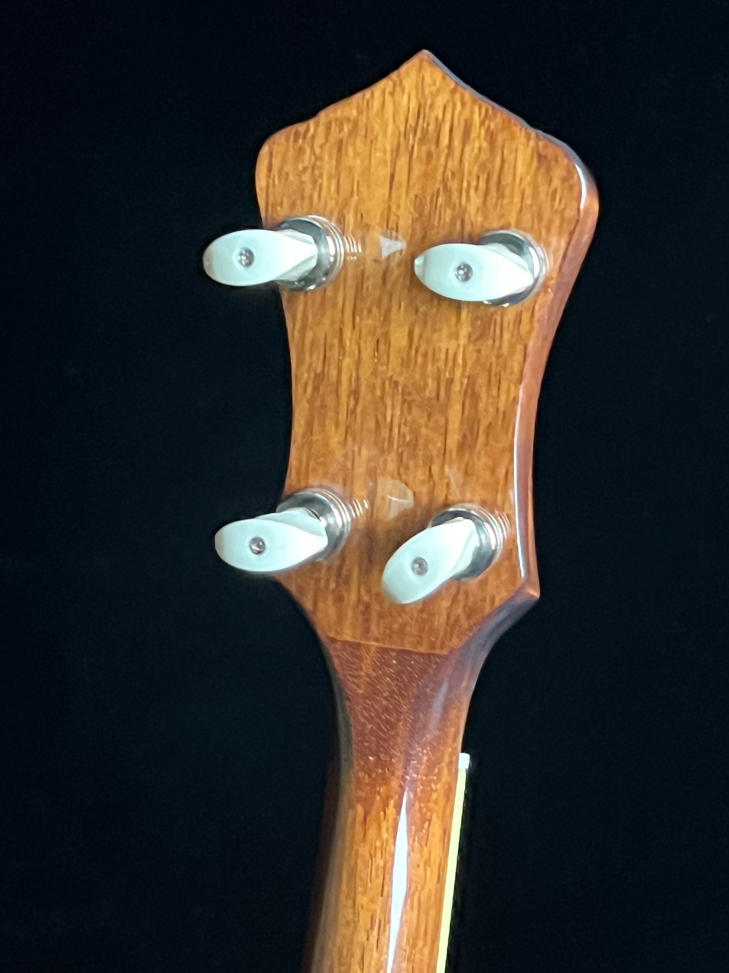 SOLD - Recording King RK-R36 Madison Resonator 5-String Banjo - New