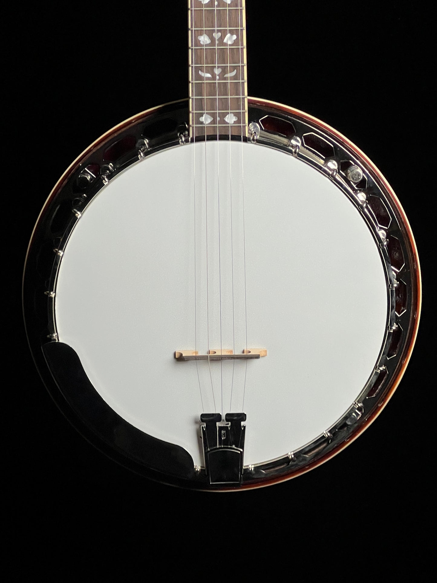 Recording King Songster Resonator Banjo RK-R20 - New