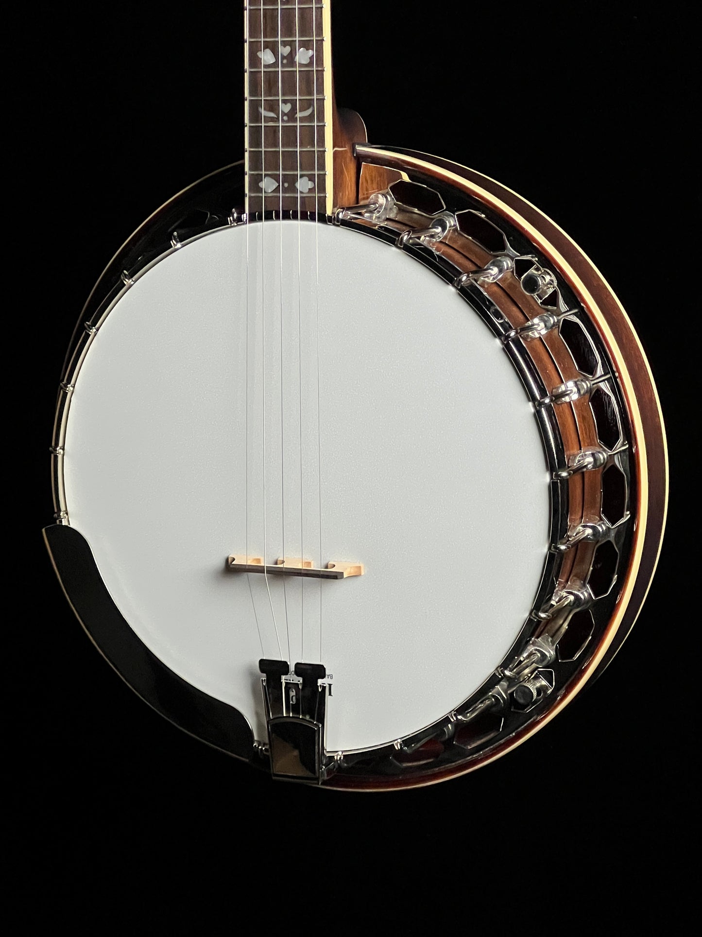 Recording King Songster Resonator Banjo RK-R20 - New
