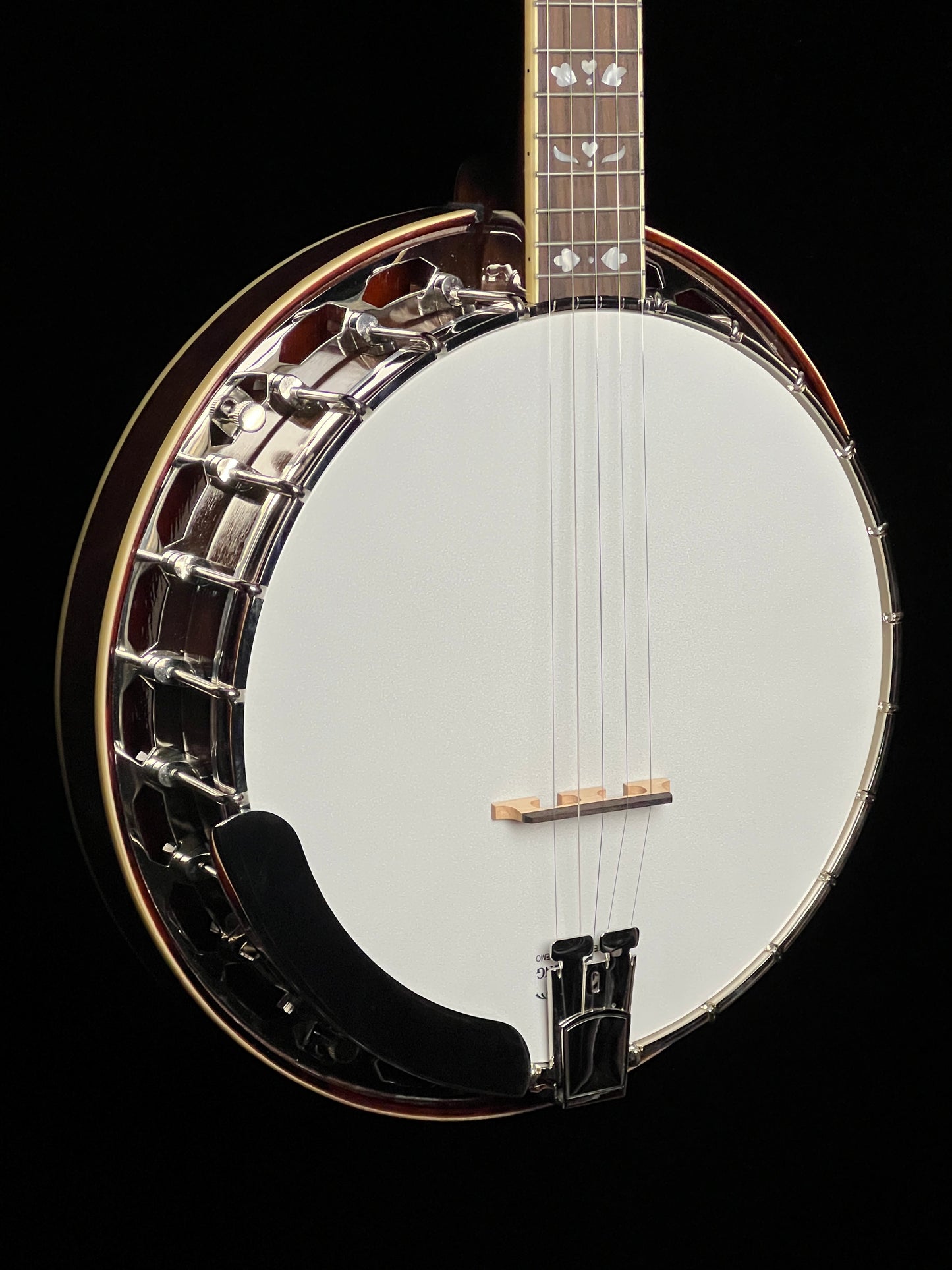 Recording King Songster Resonator Banjo RK-R20 - New