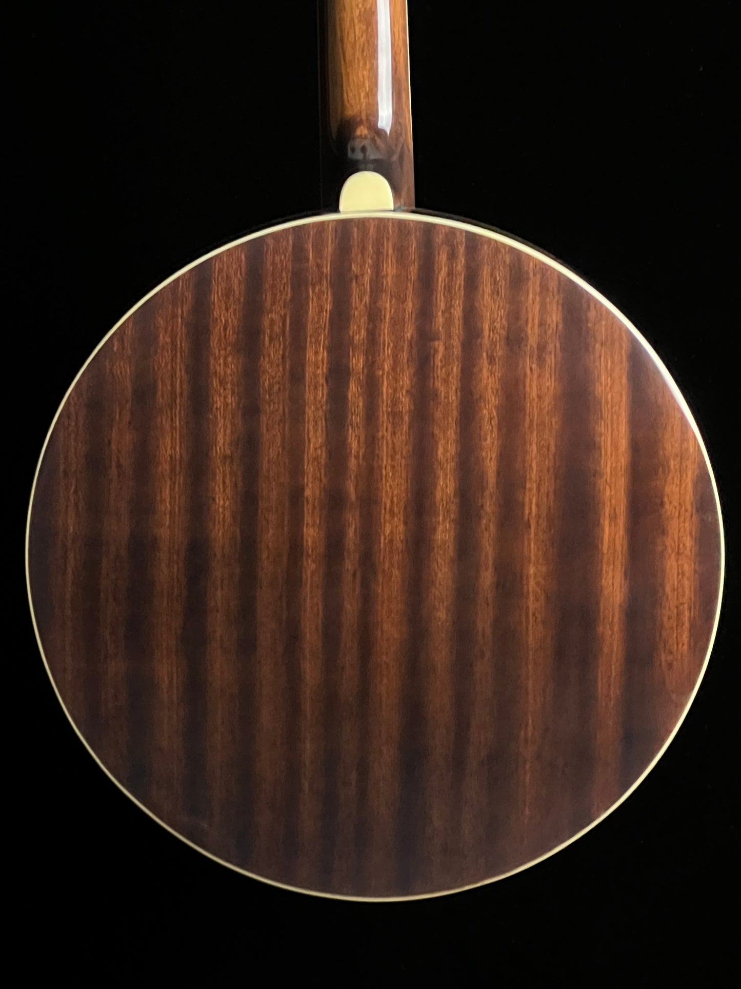 Recording King Songster Resonator Banjo RK-R20 - New