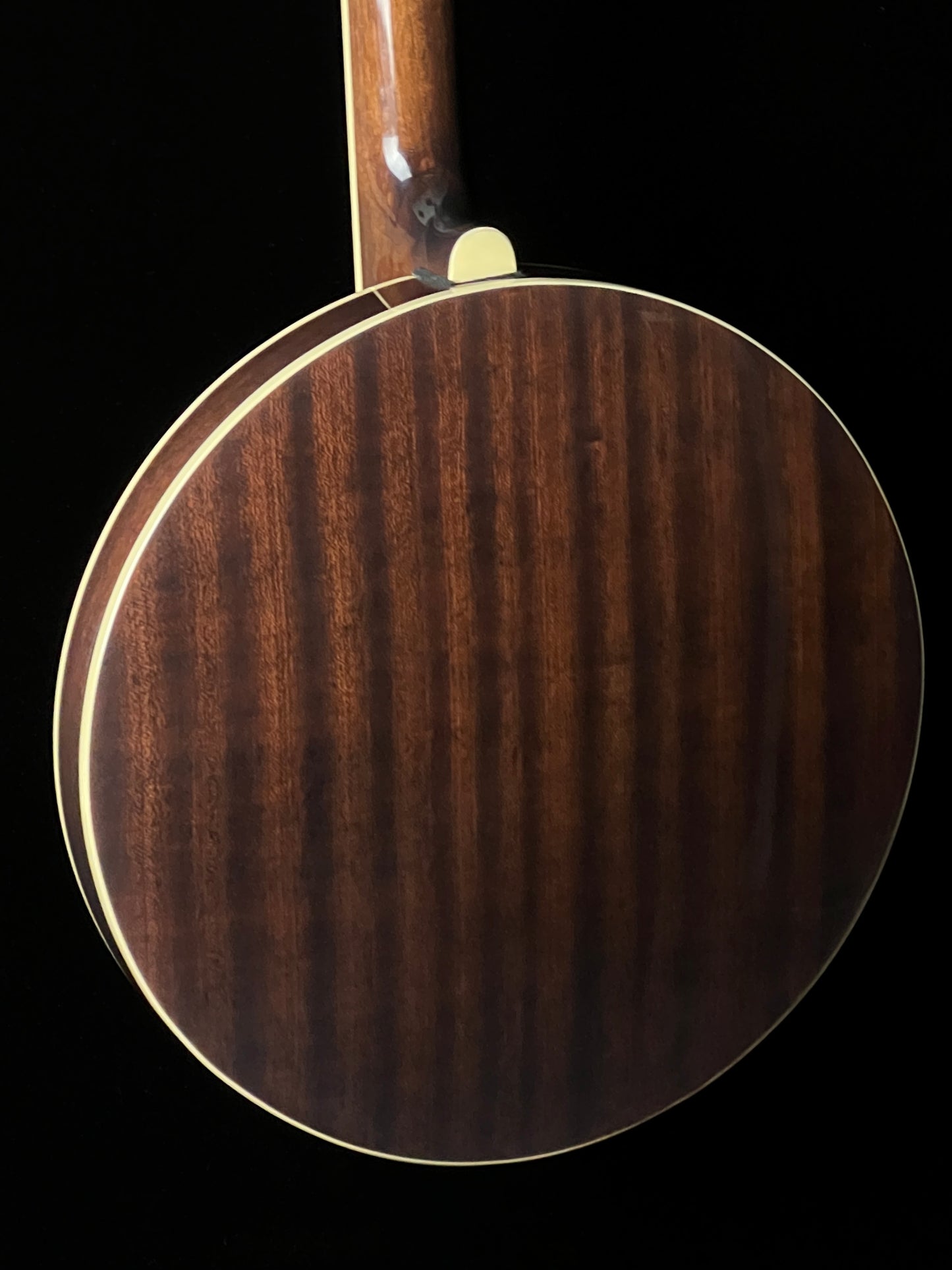 Recording King Songster Resonator Banjo RK-R20 - New