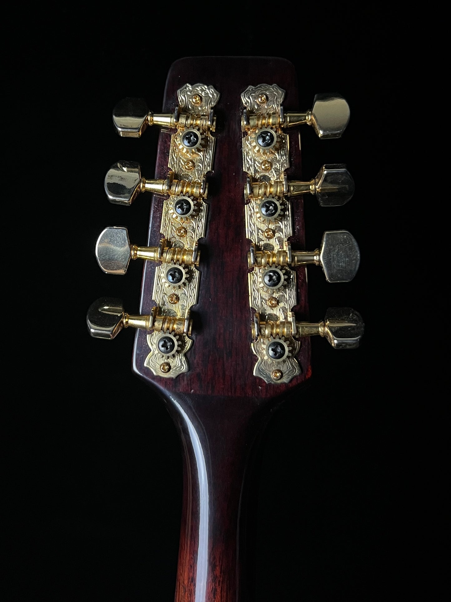 Rogue Banjolin Banjo-Mandolin - Used