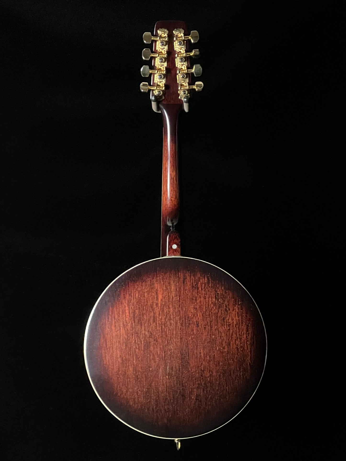 Rogue Banjolin Banjo-Mandolin - Used