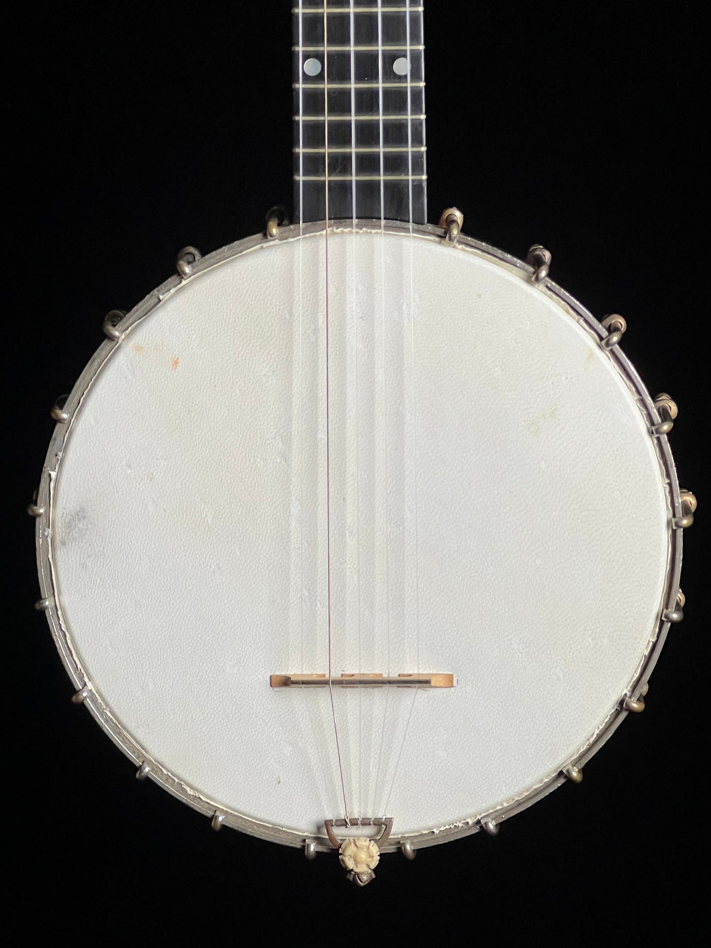 S.S. Stewart Open Back Banjo - Used
